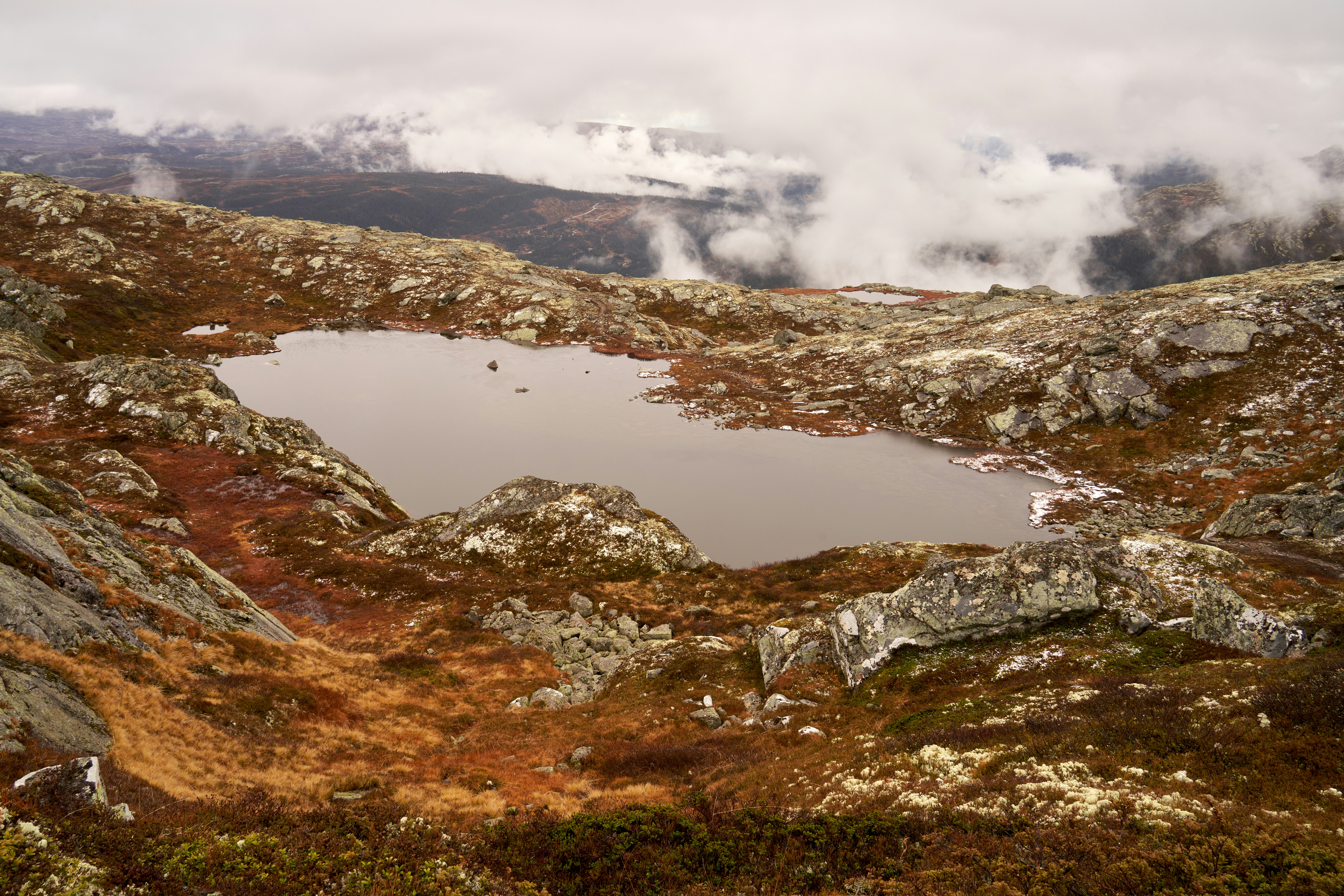 Photo by davotibarna