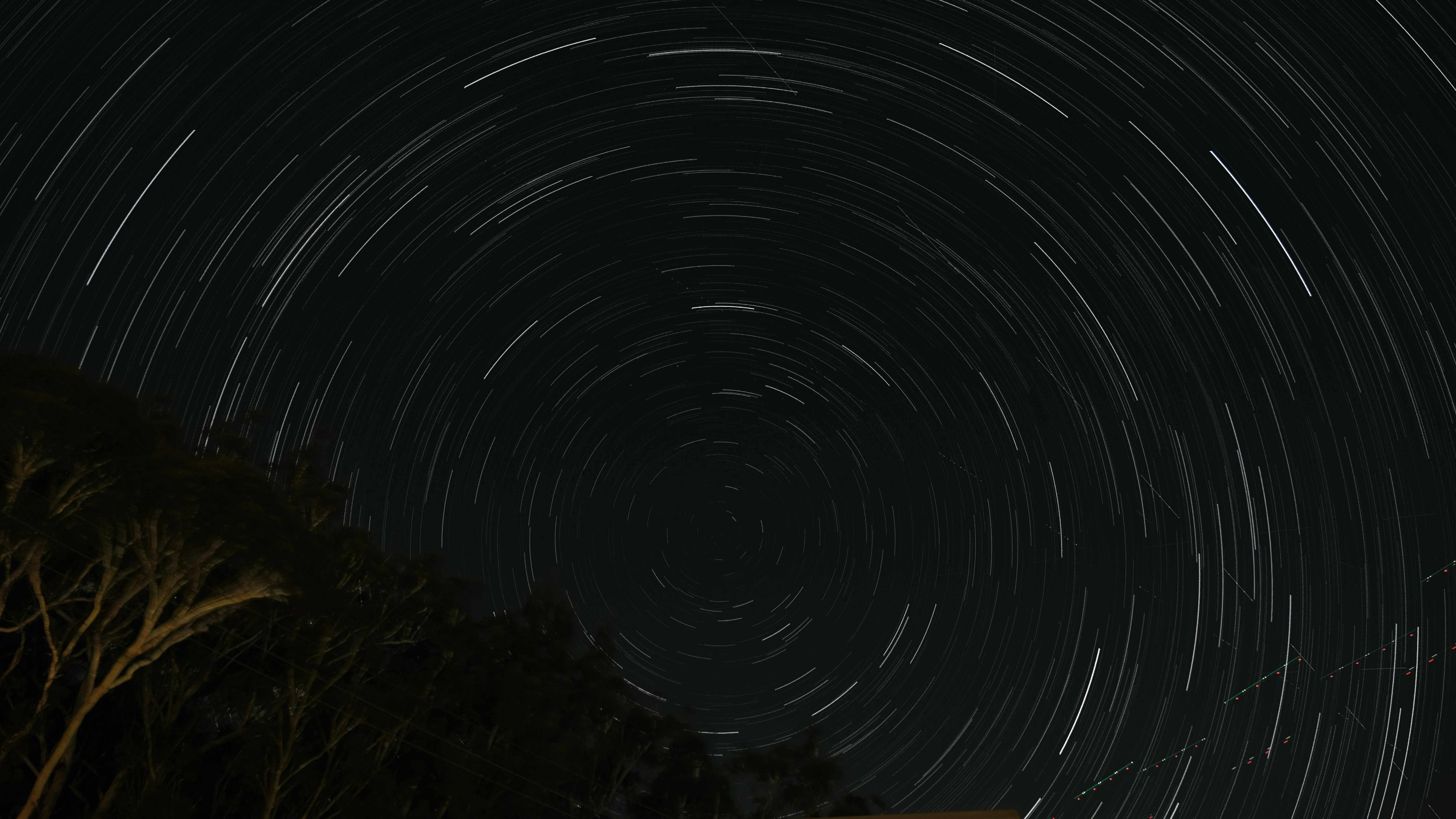 Star trails circle the night sky above trees