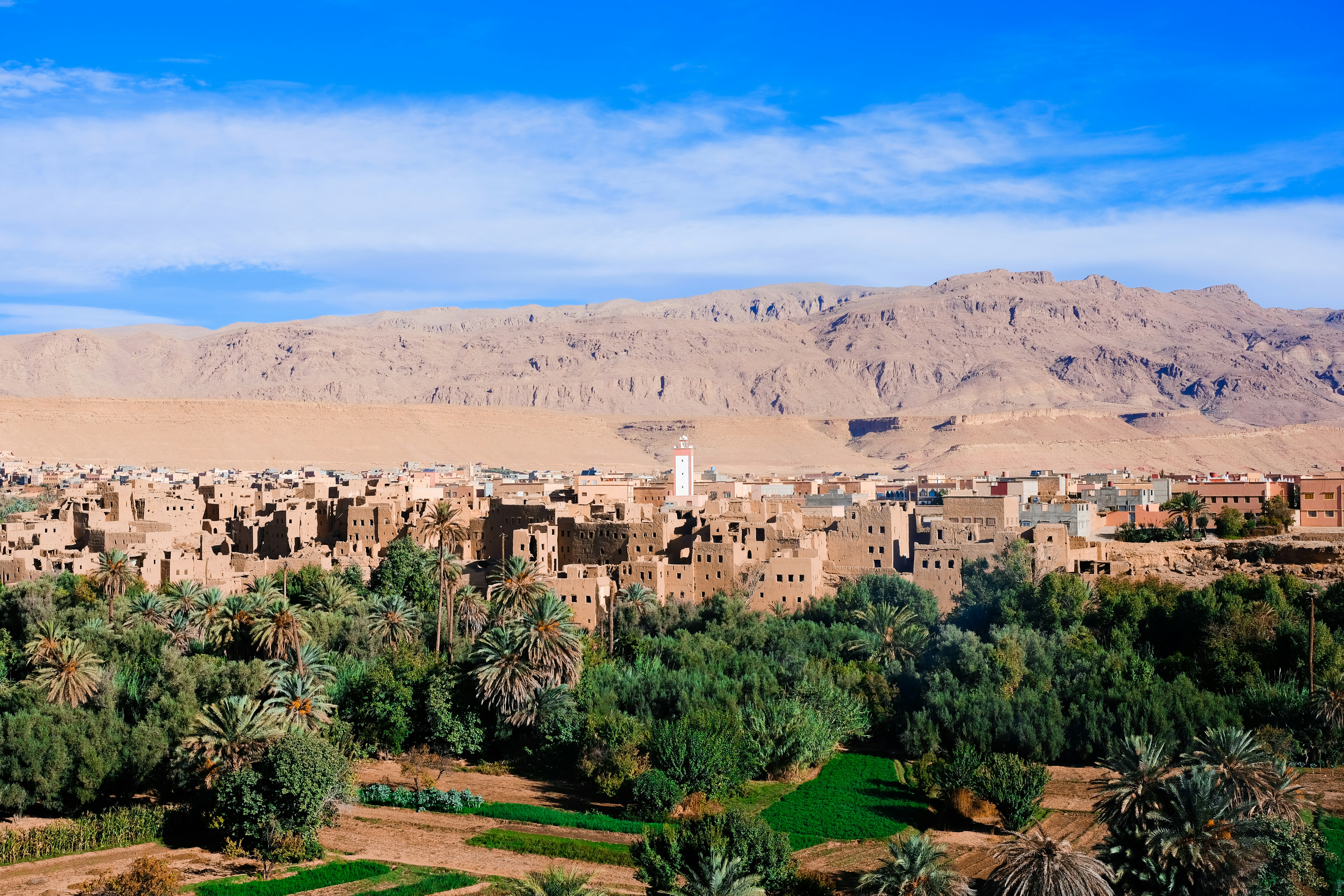 Stay online in the Middle East And North Africa with a prepaid eSIM from eSIMlii. Instant activation, no roaming charges, and reliable coverage.