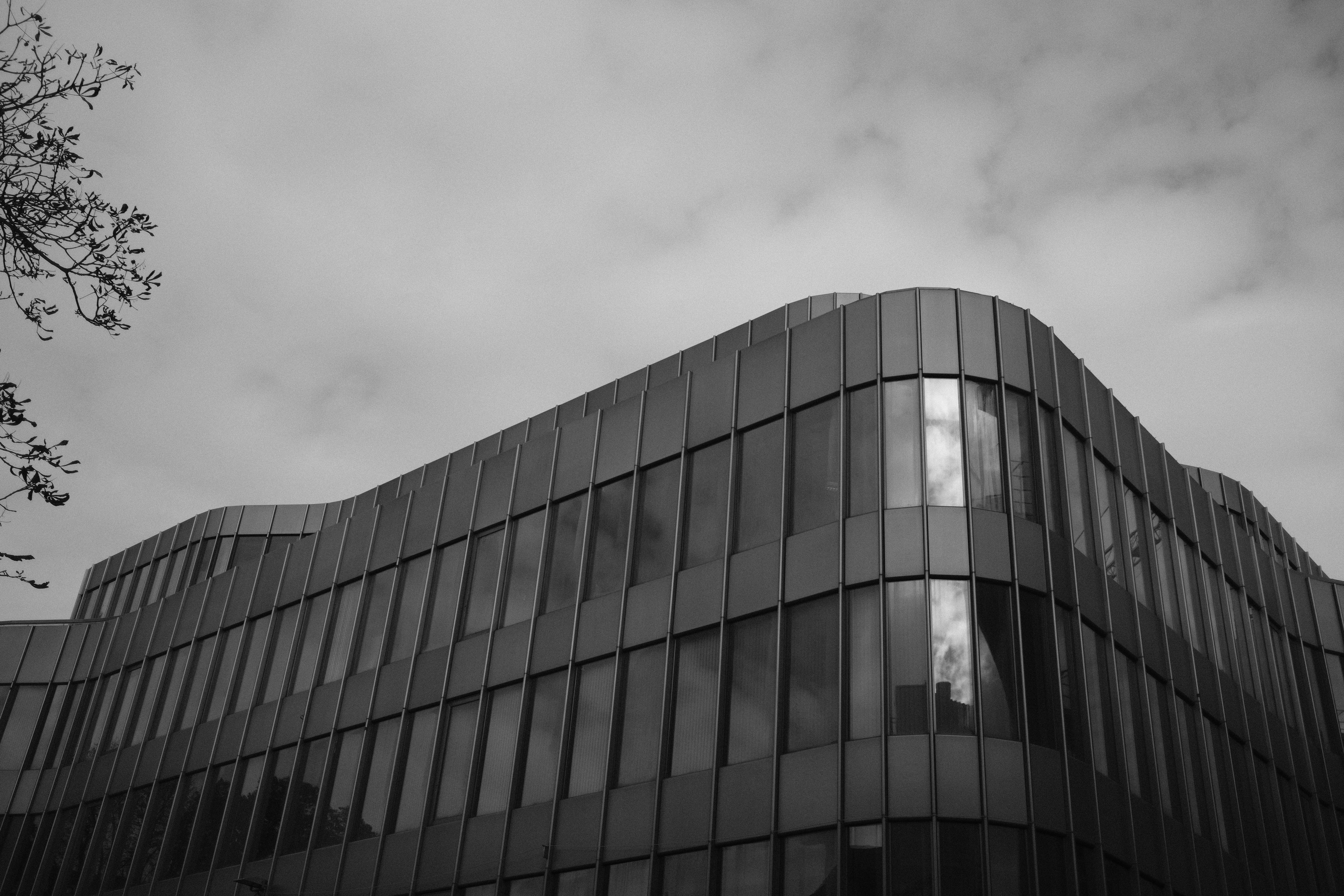 Photo by dezsvbymico