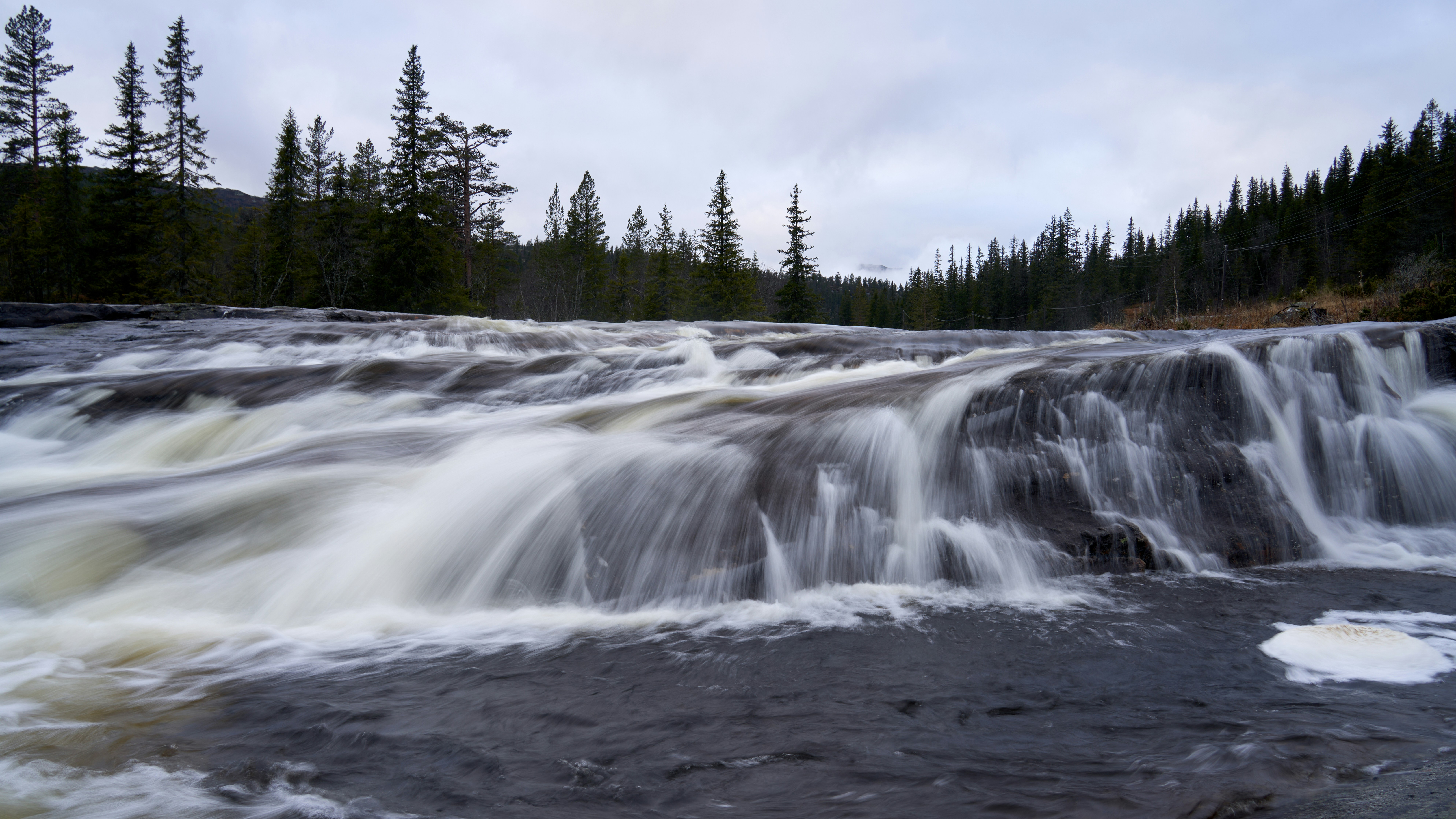 Photo by davotibarna