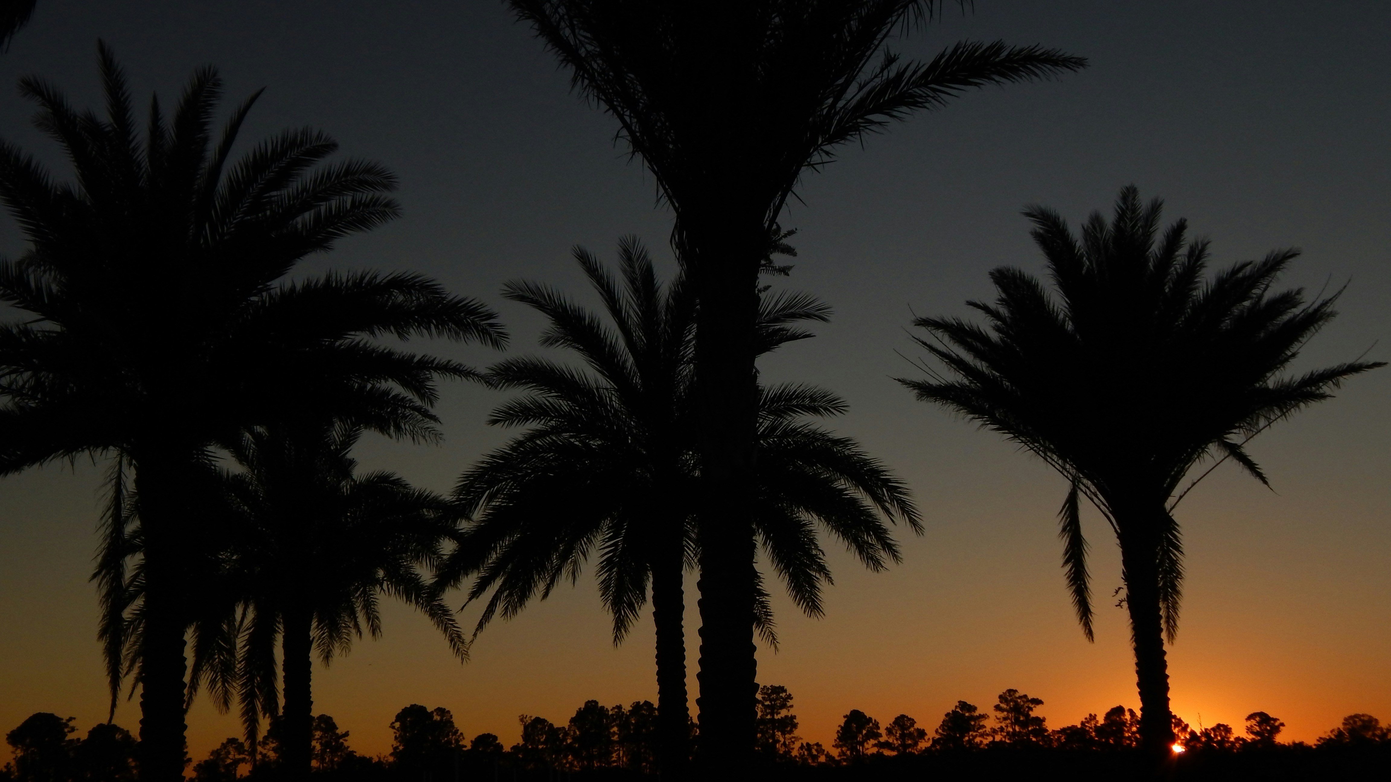 Photo by mitchbagnet