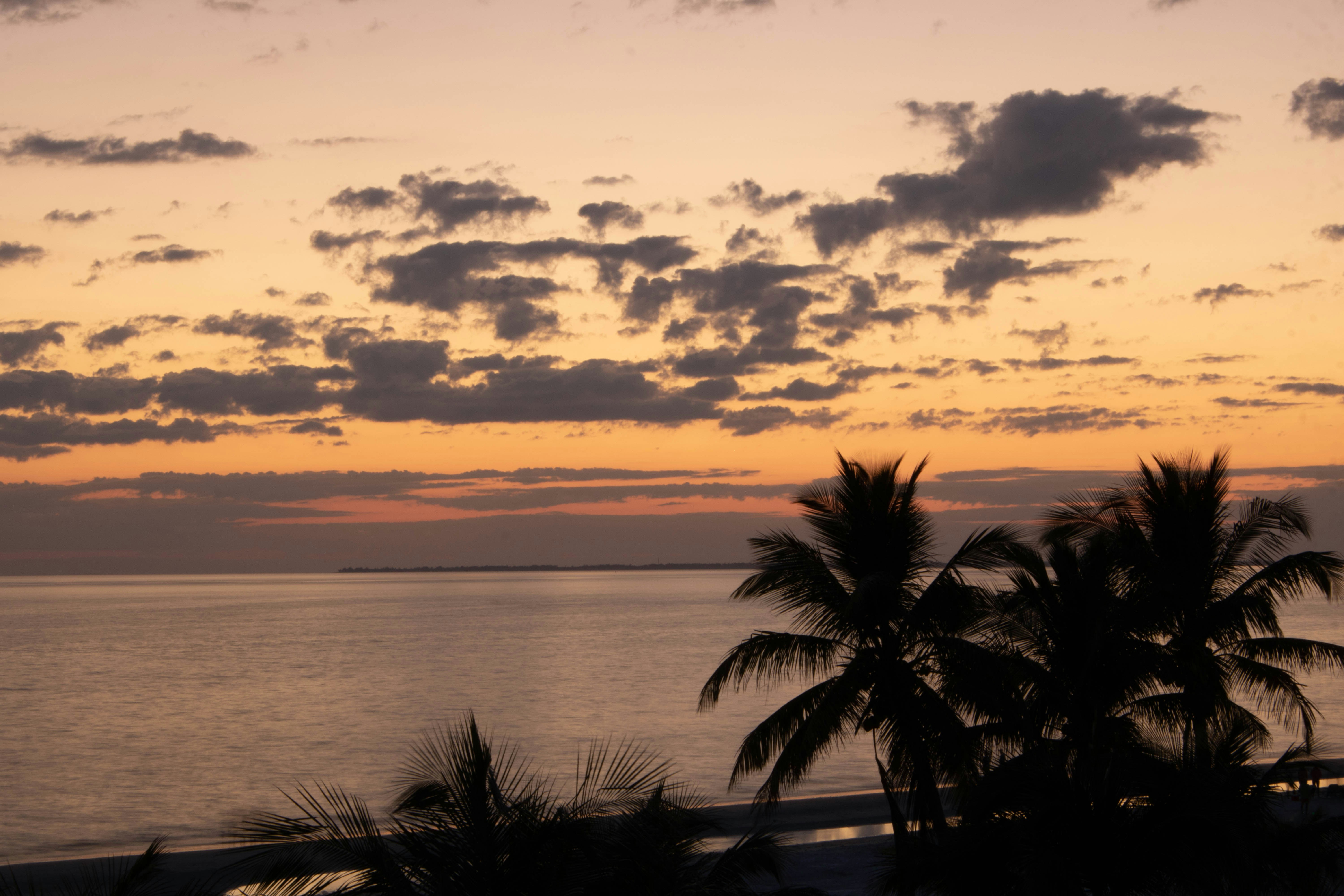 Photo by mitchbagnet