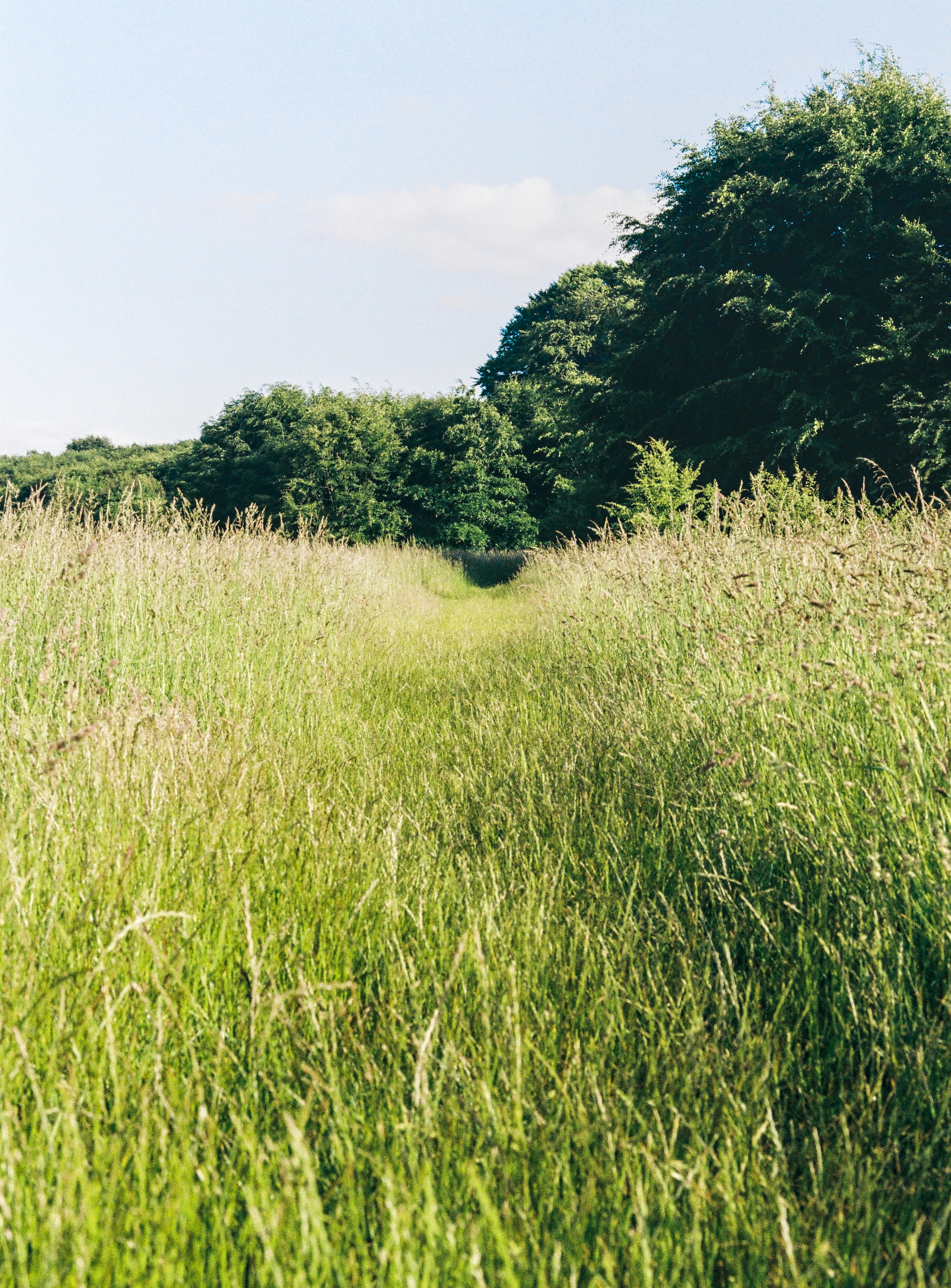 Photo by alexanderpharwood