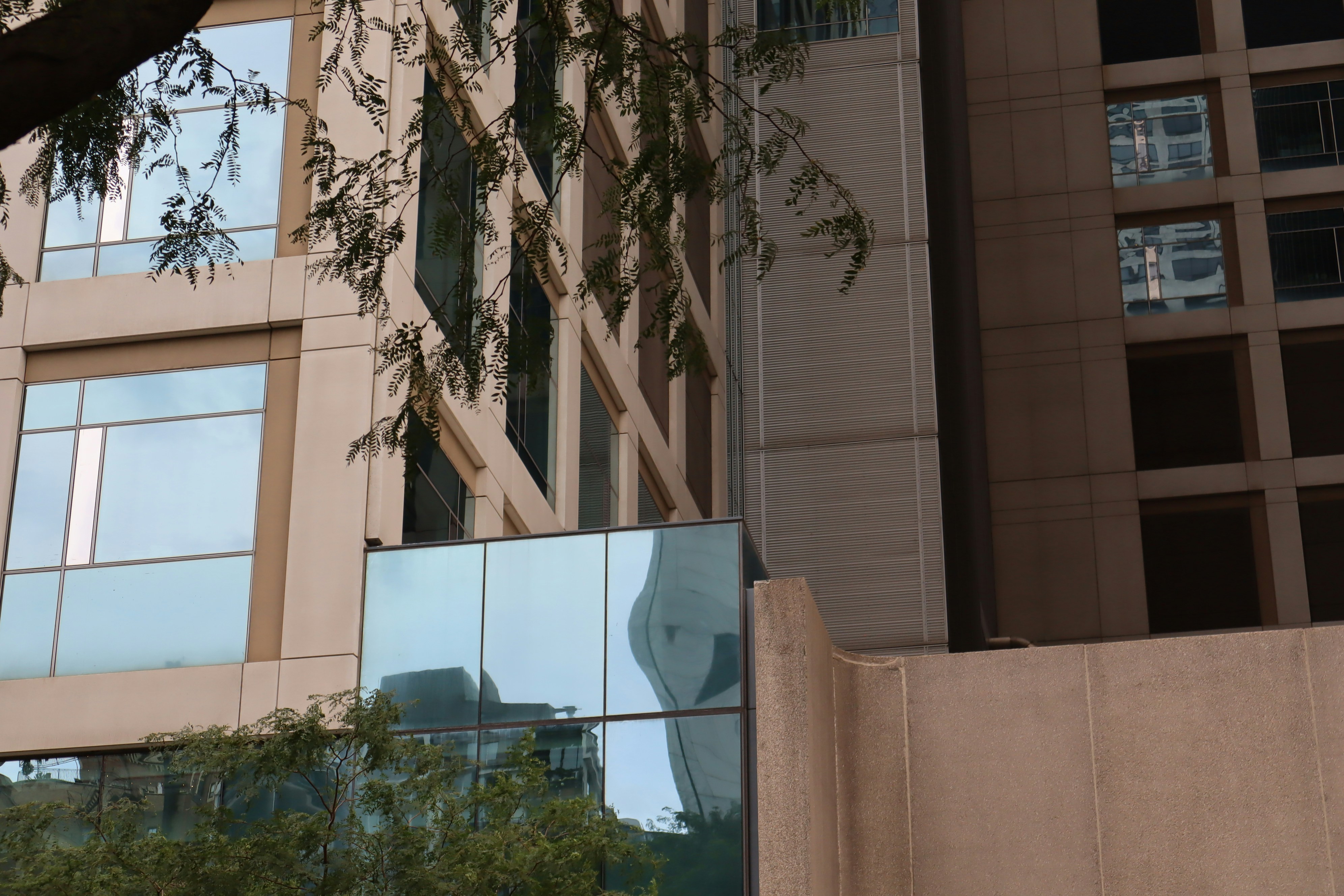 Photo by benignmechanism