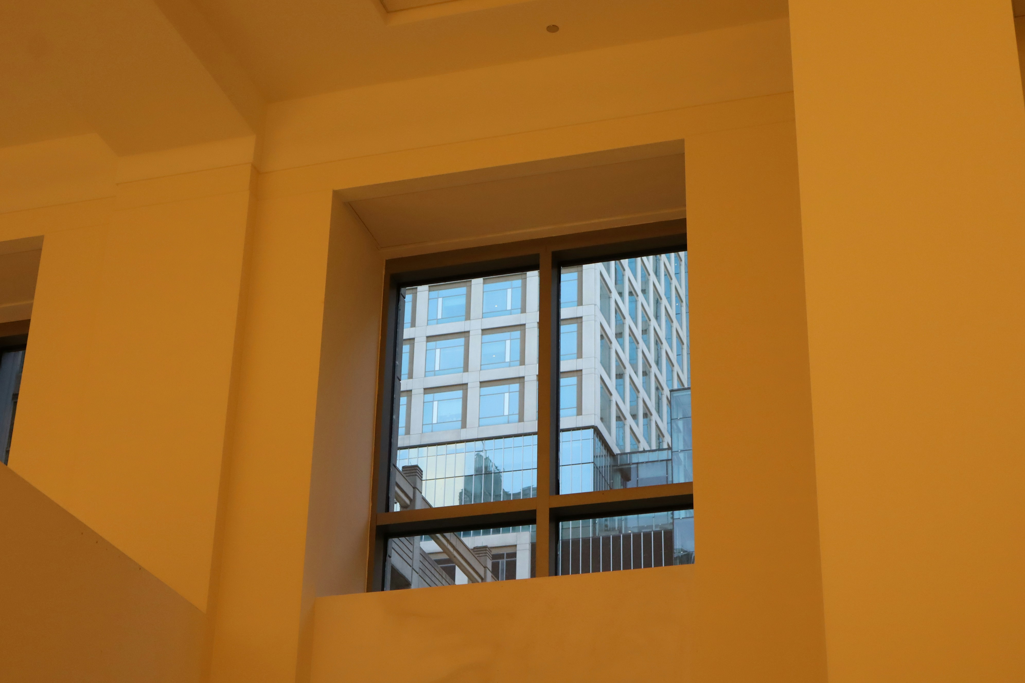 Photo by benignmechanism