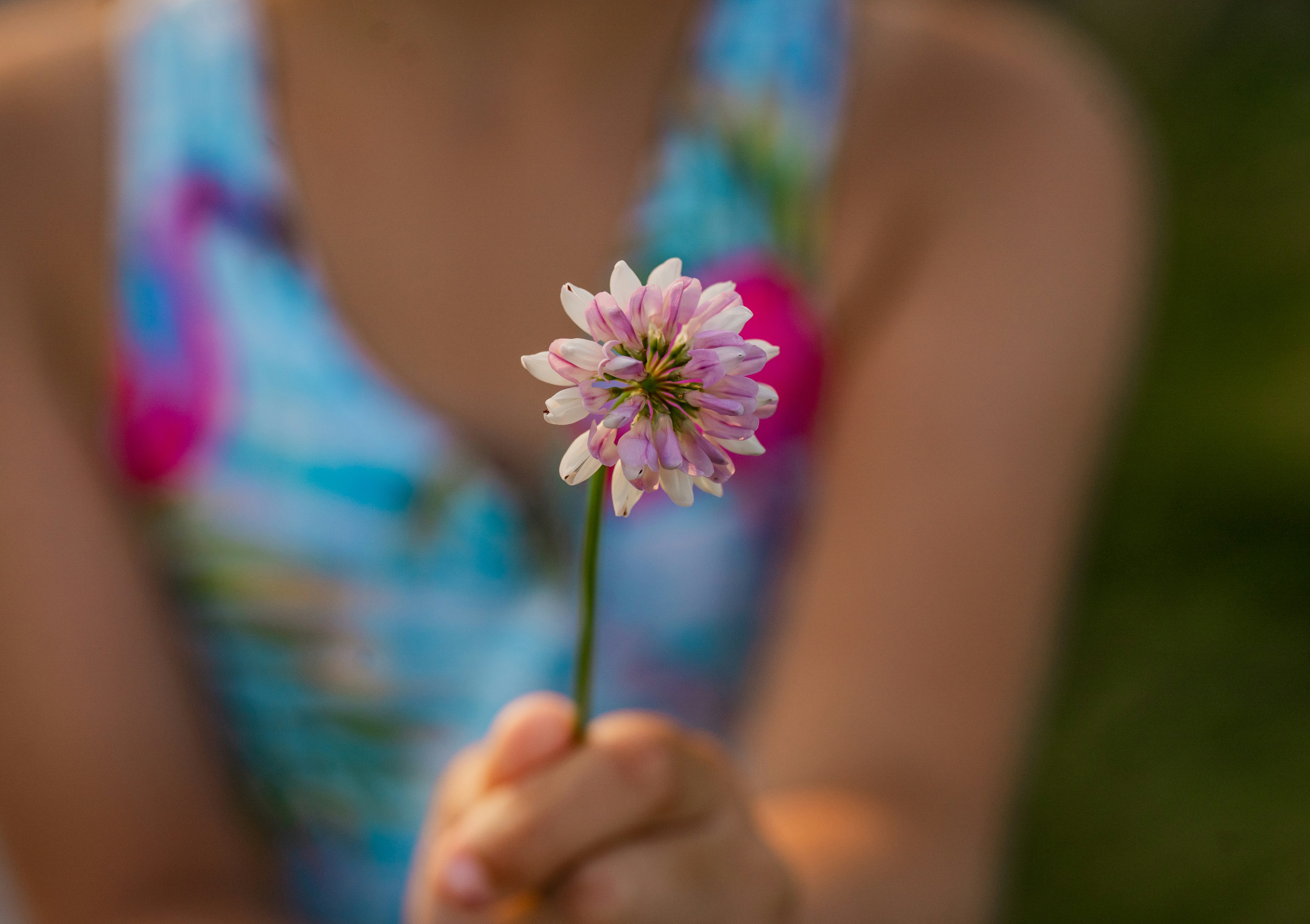 A person holding a single pink flower