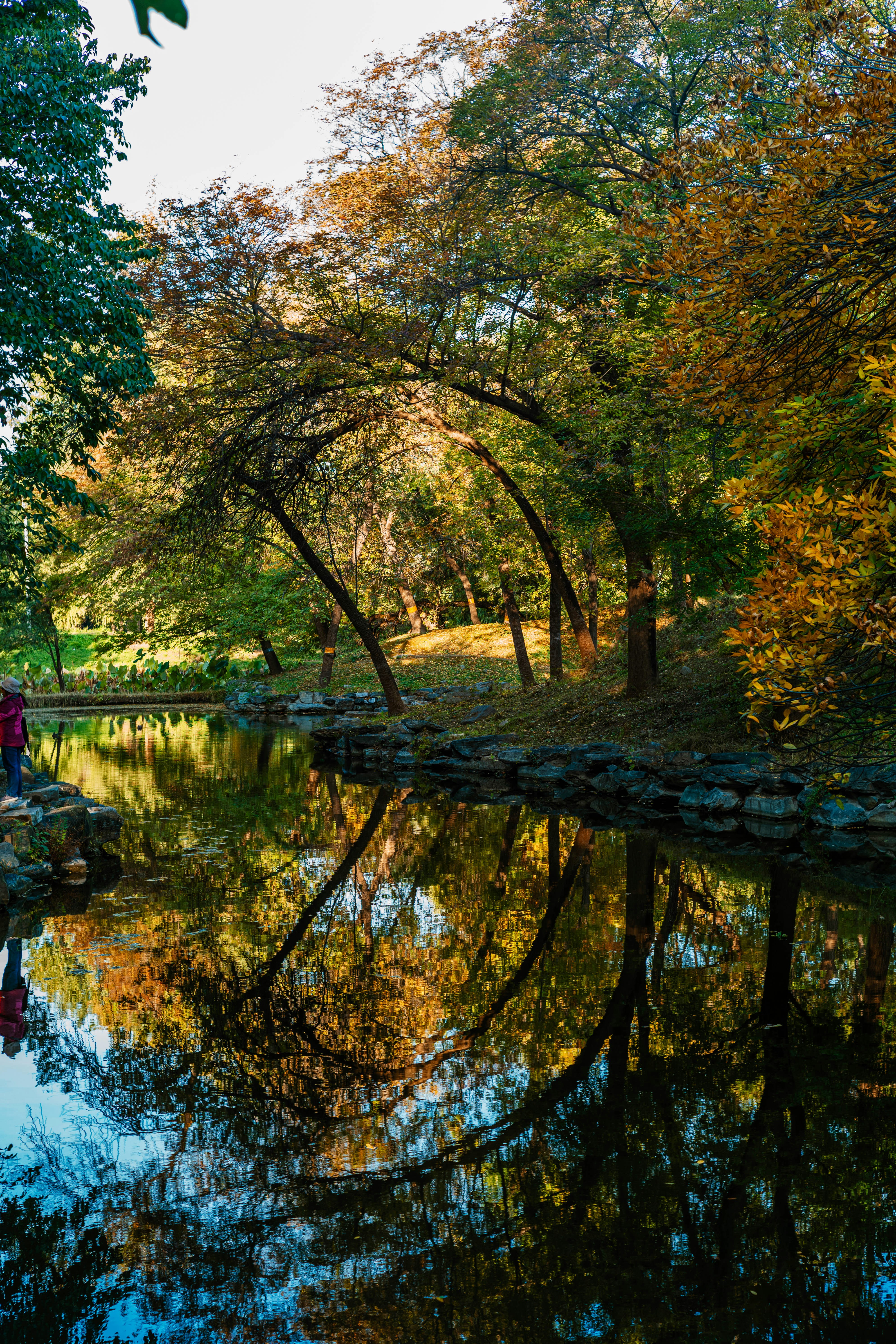 Photo by tommaomaoer