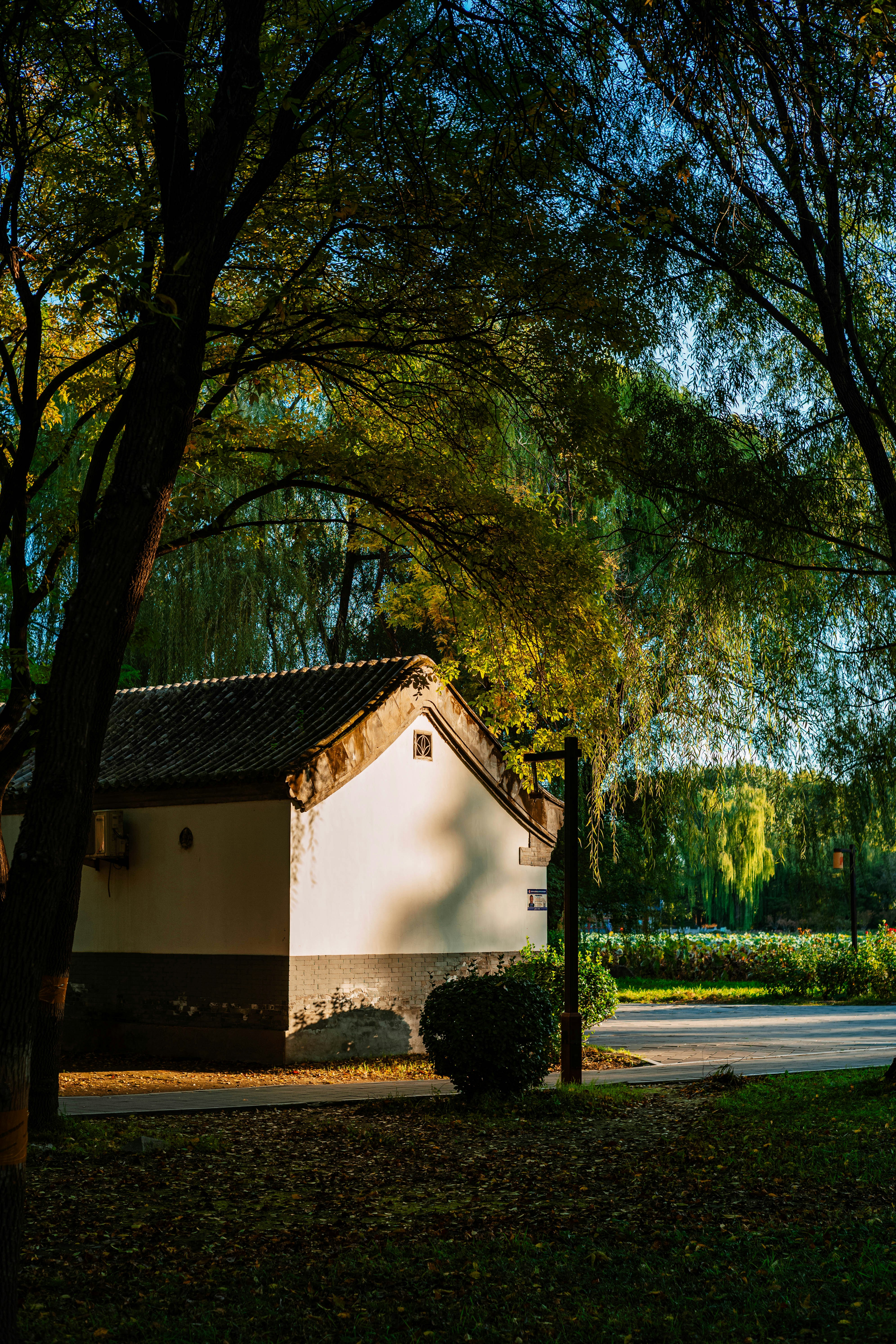 Photo by tommaomaoer