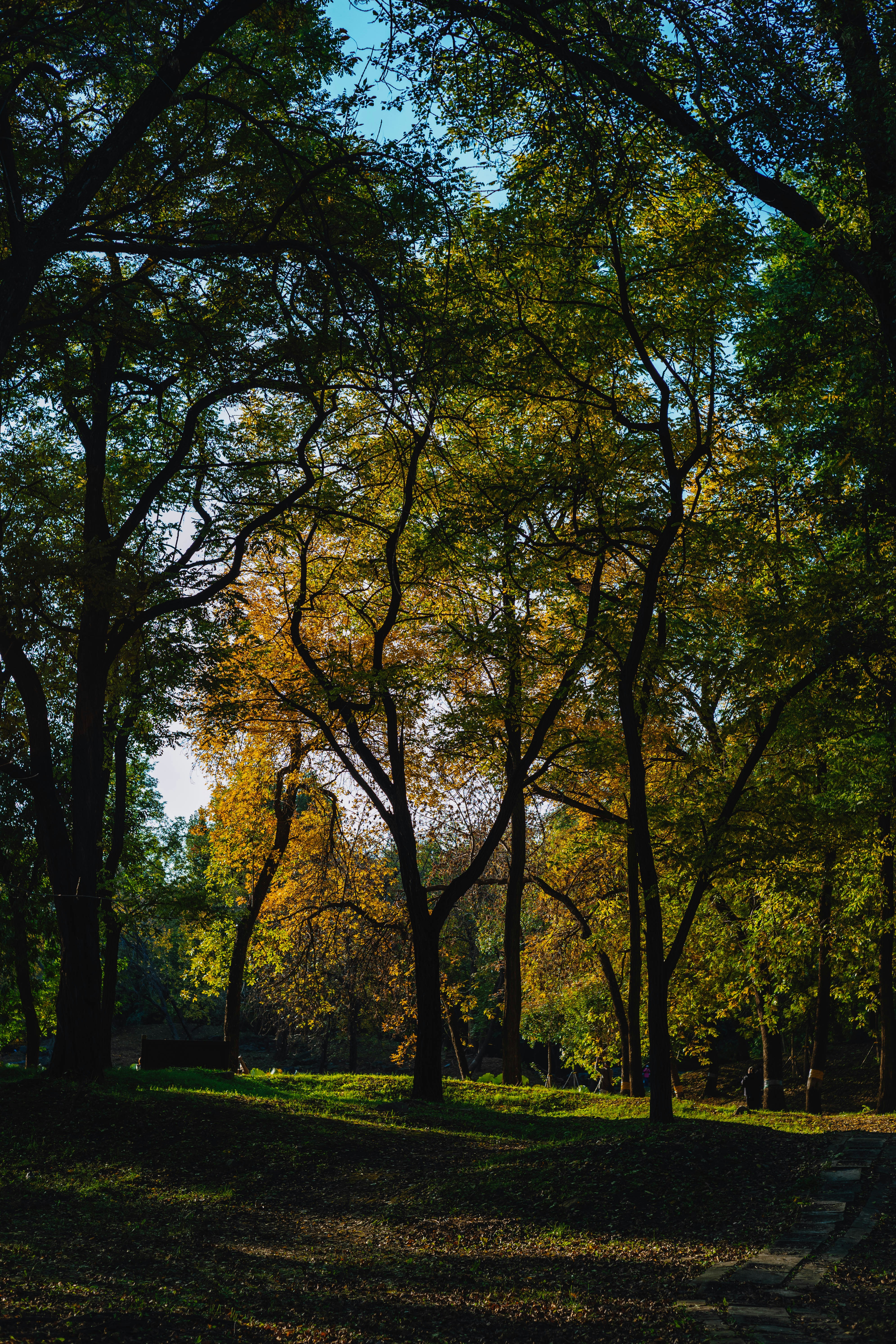 Photo by tommaomaoer