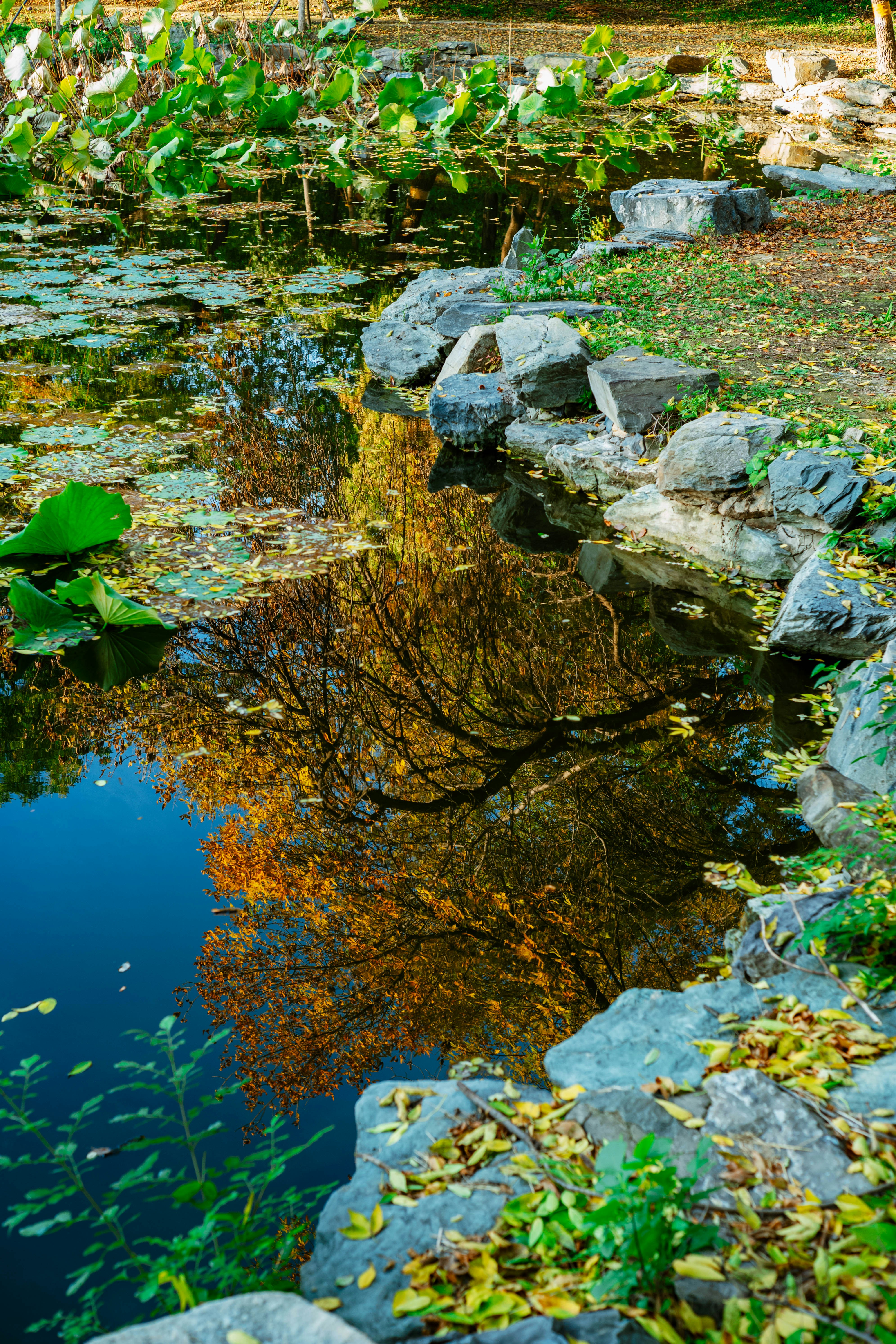 Photo by tommaomaoer