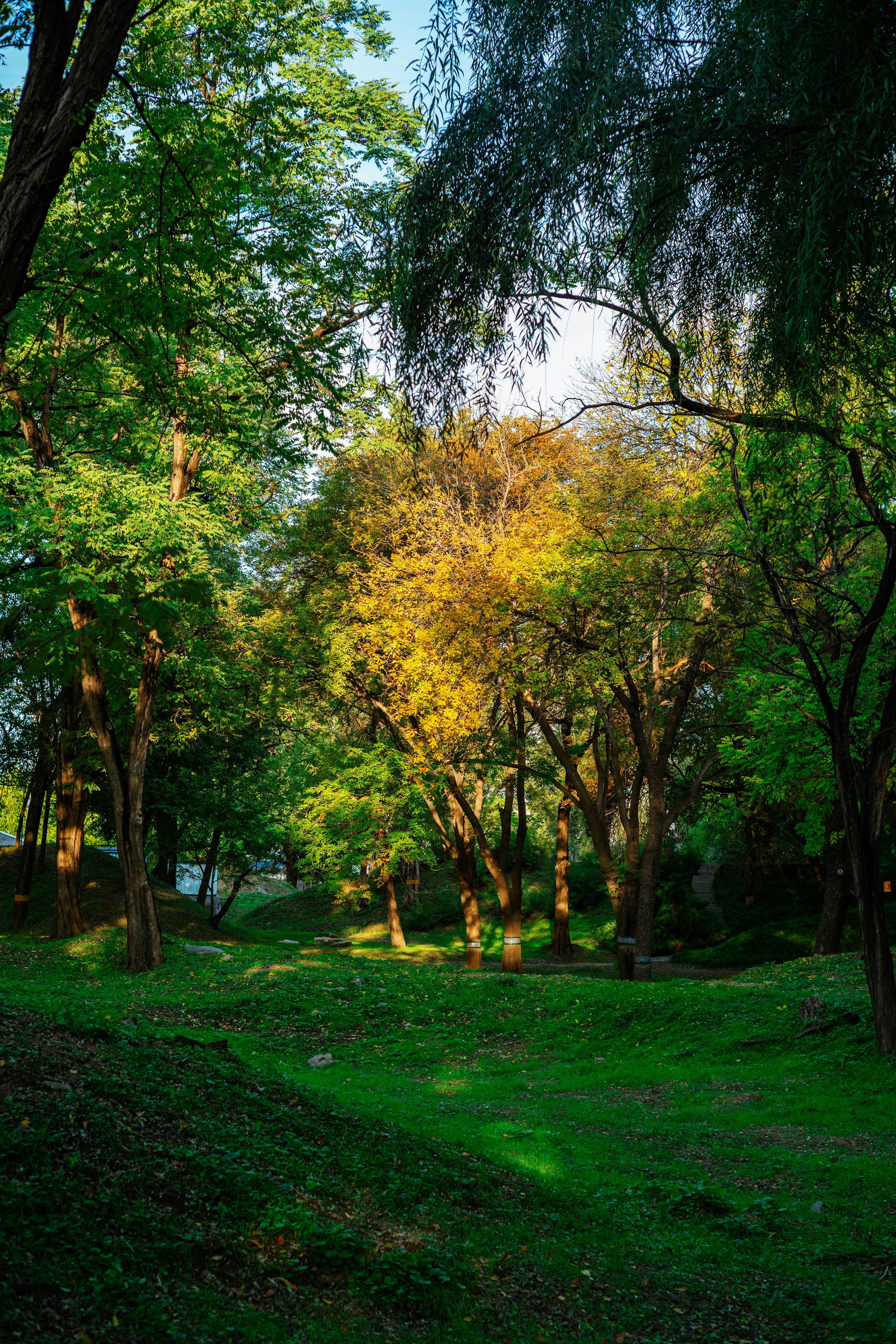 Photo by tommaomaoer