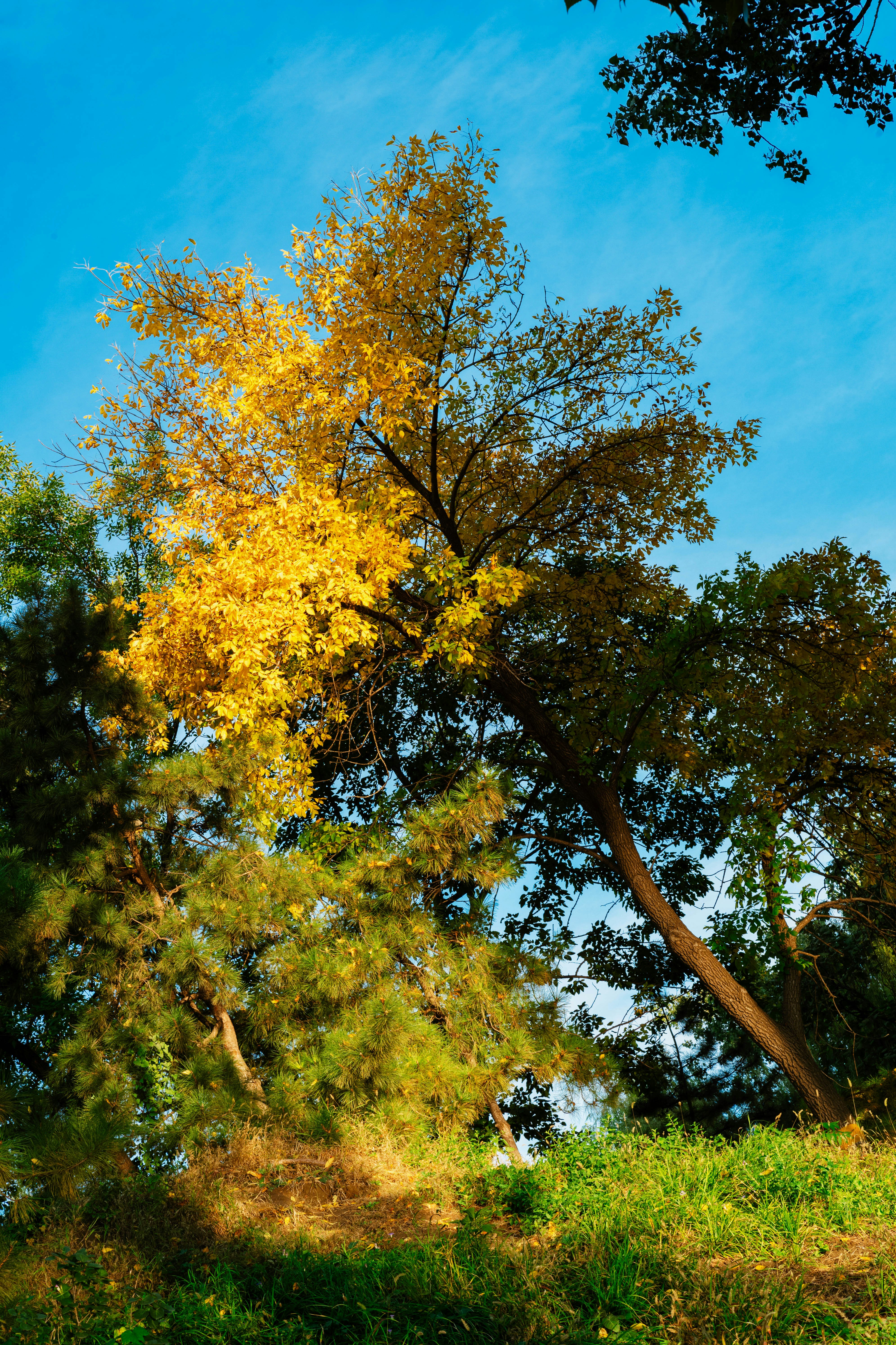 Photo by tommaomaoer