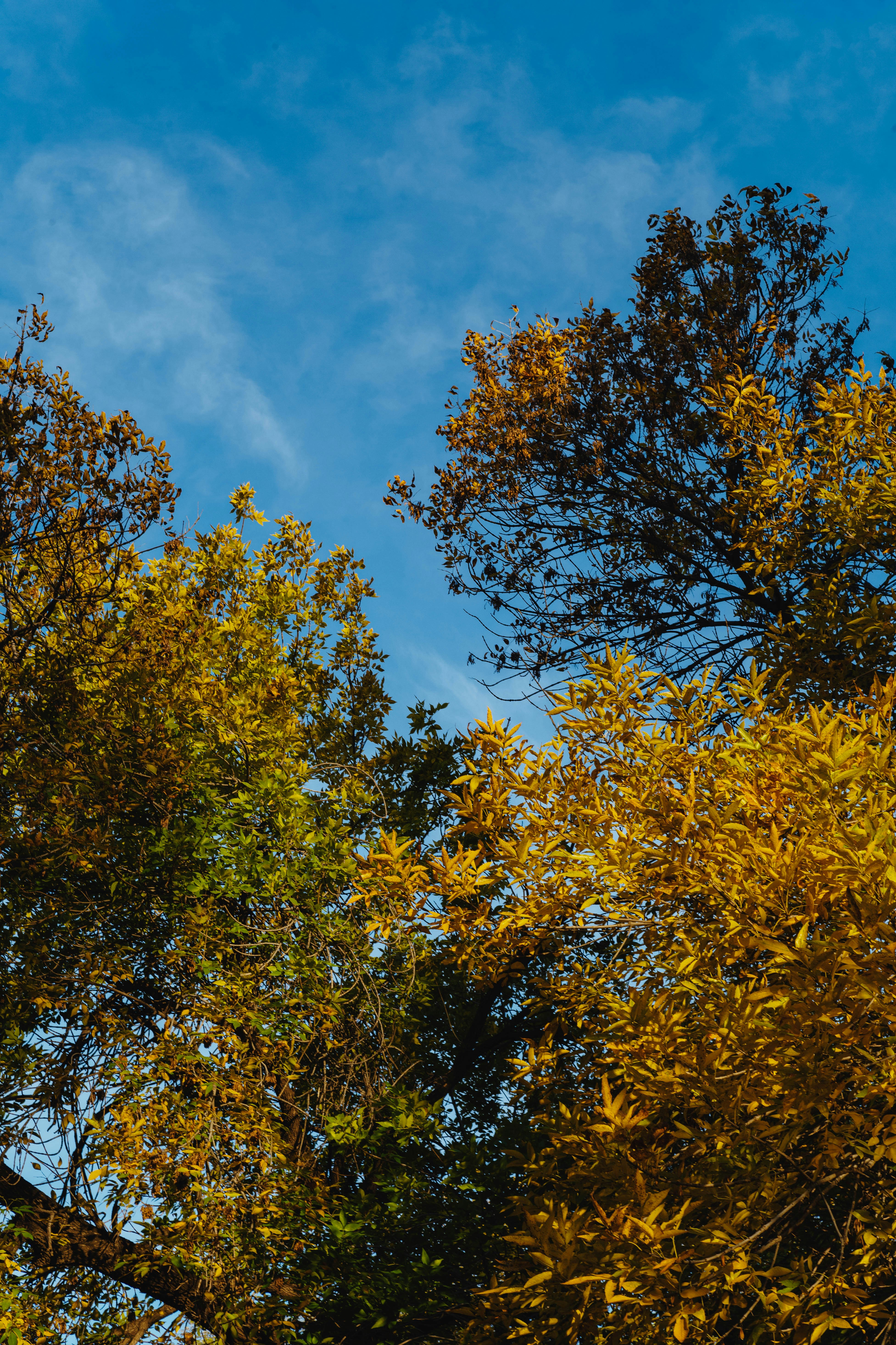 Photo by tommaomaoer