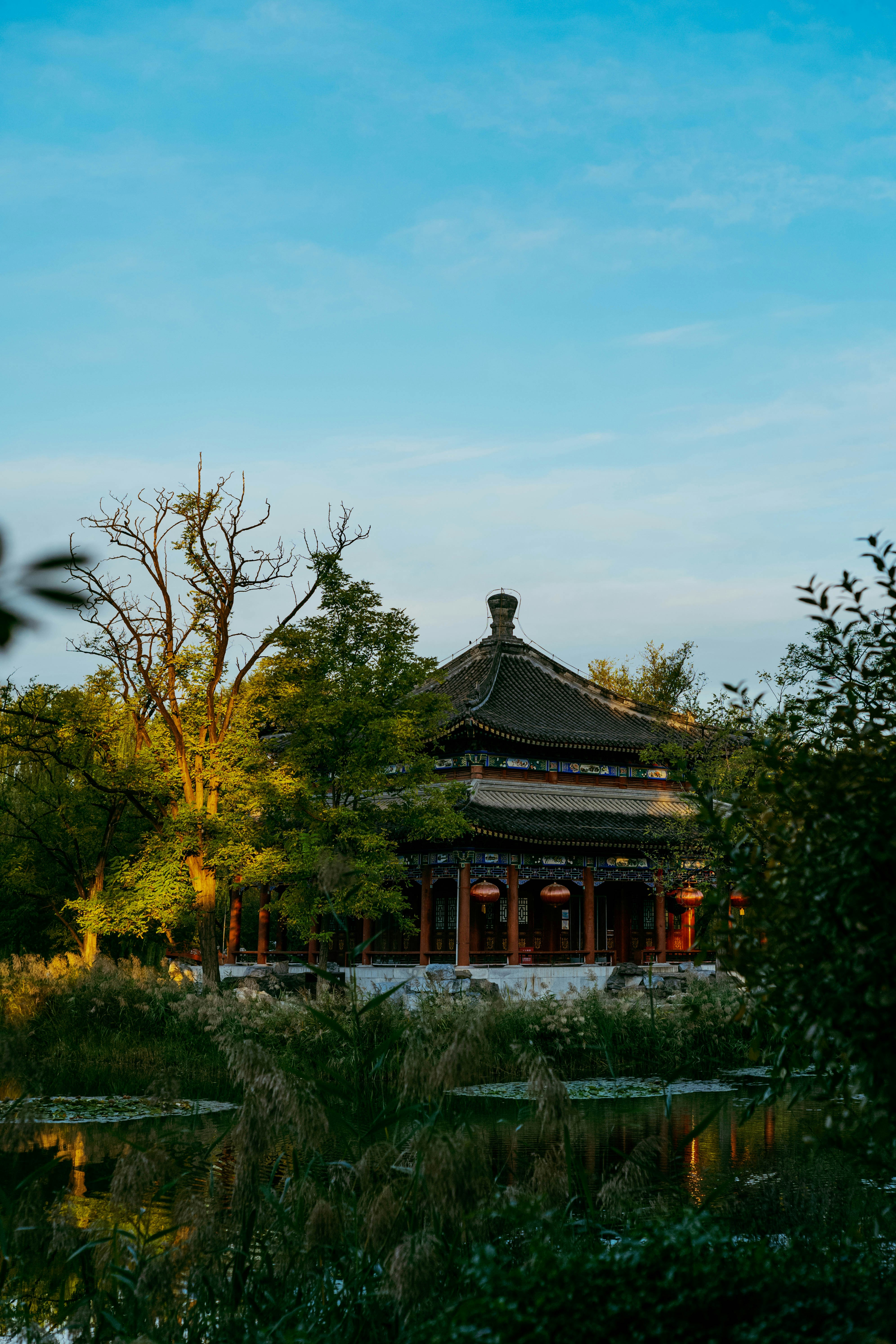 Photo by tommaomaoer