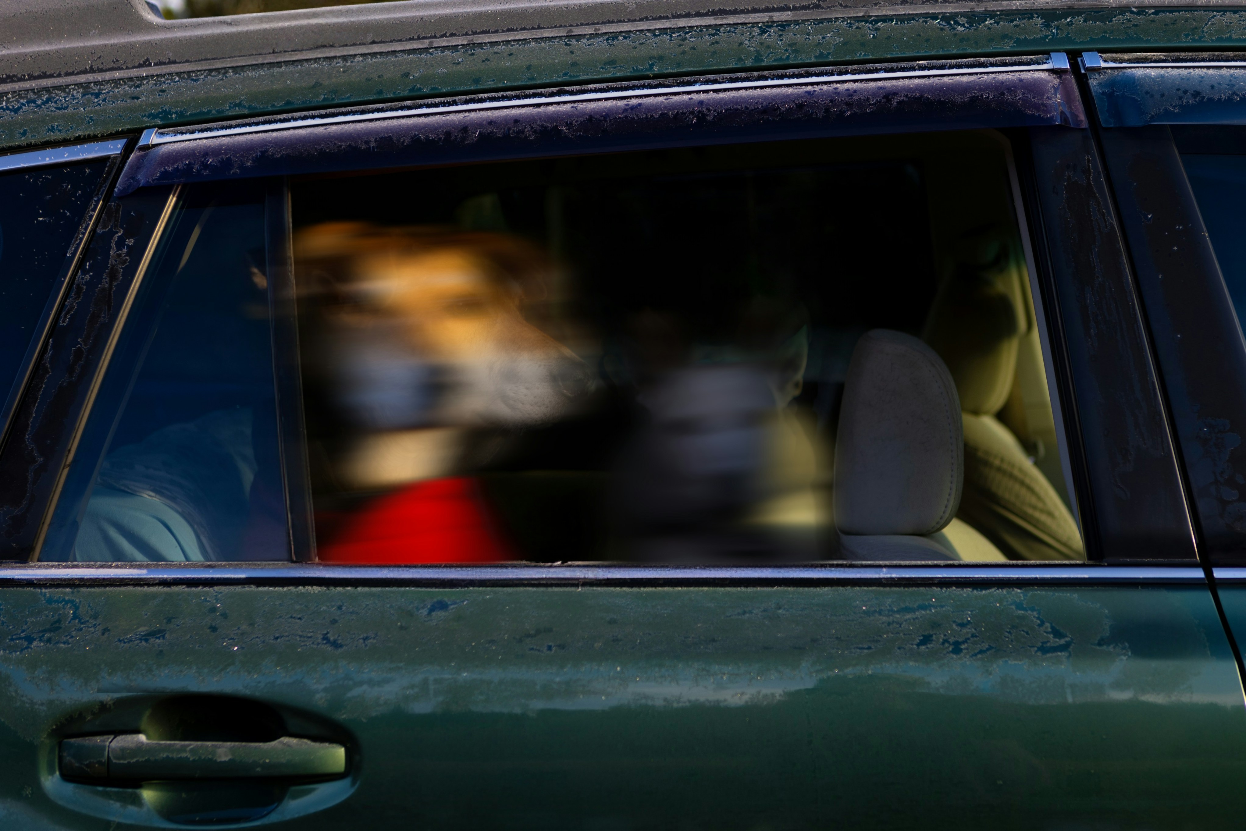 Photo by judy_beth_morris_idaho