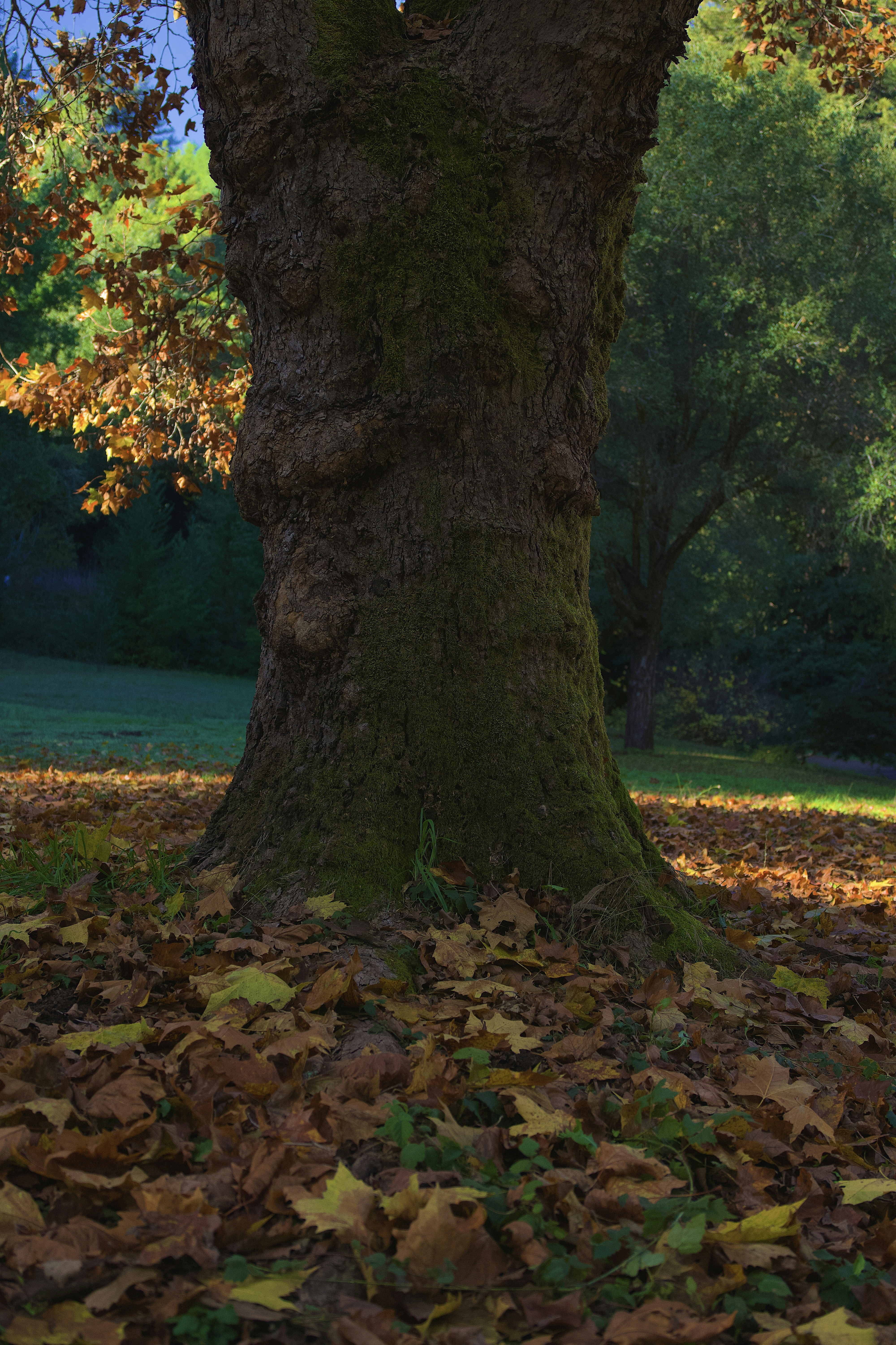 Photo by spencer_demera