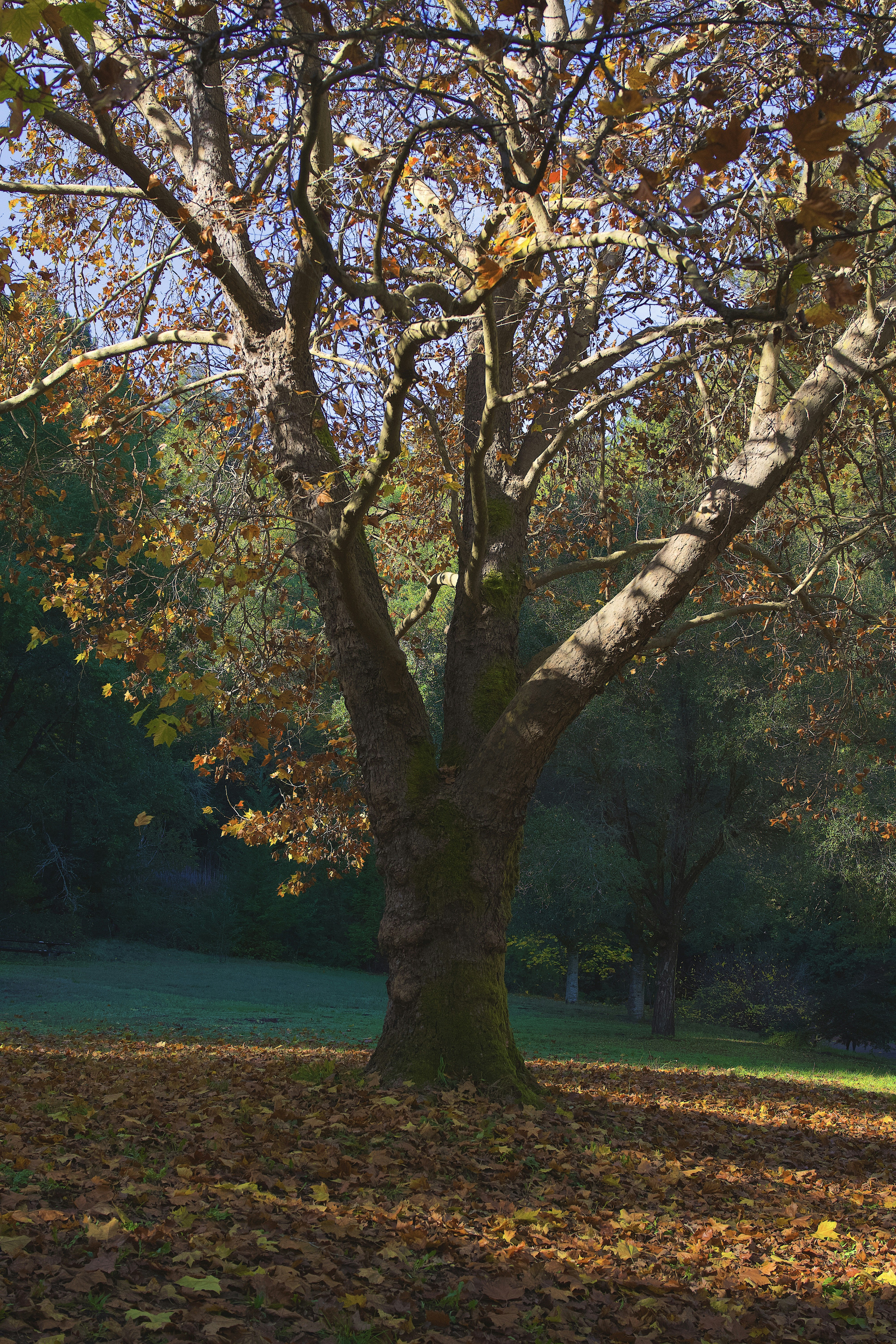 Photo by spencer_demera