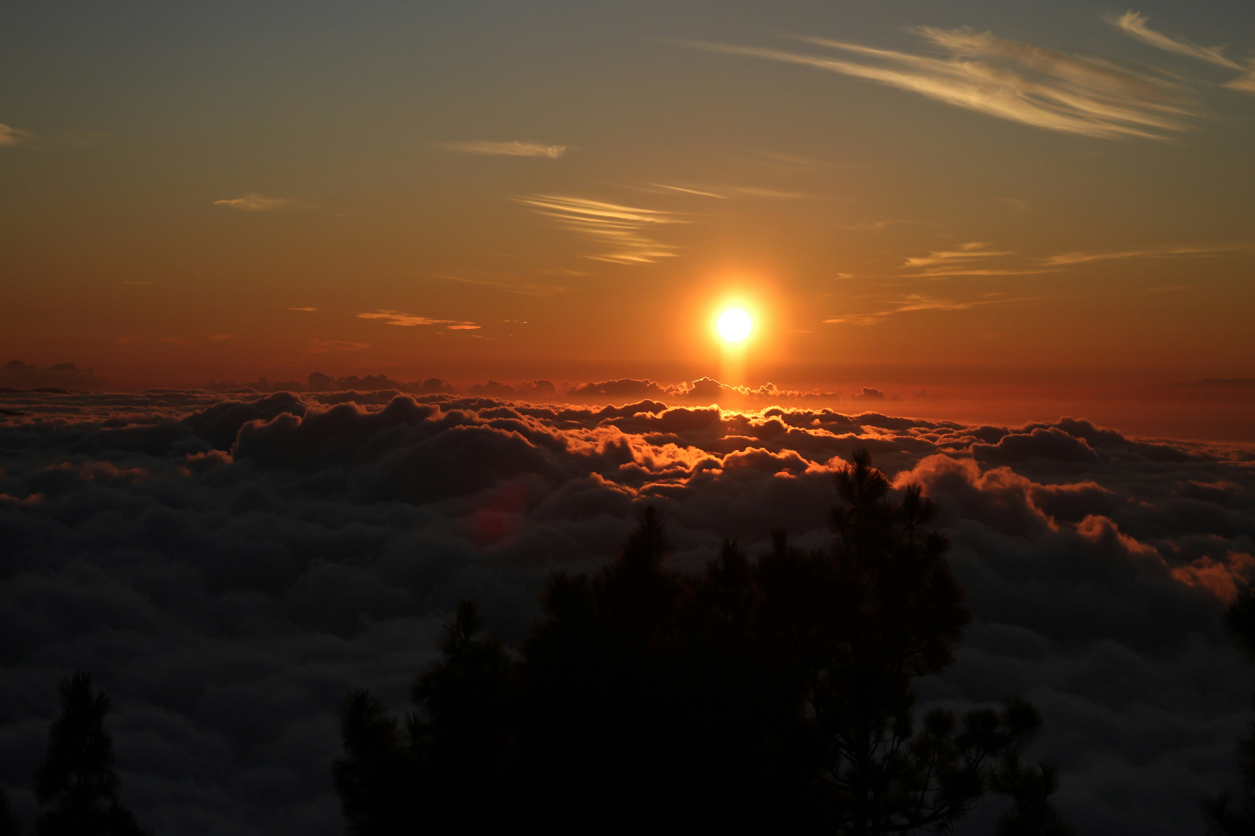 Photo by lorenzo_turroni