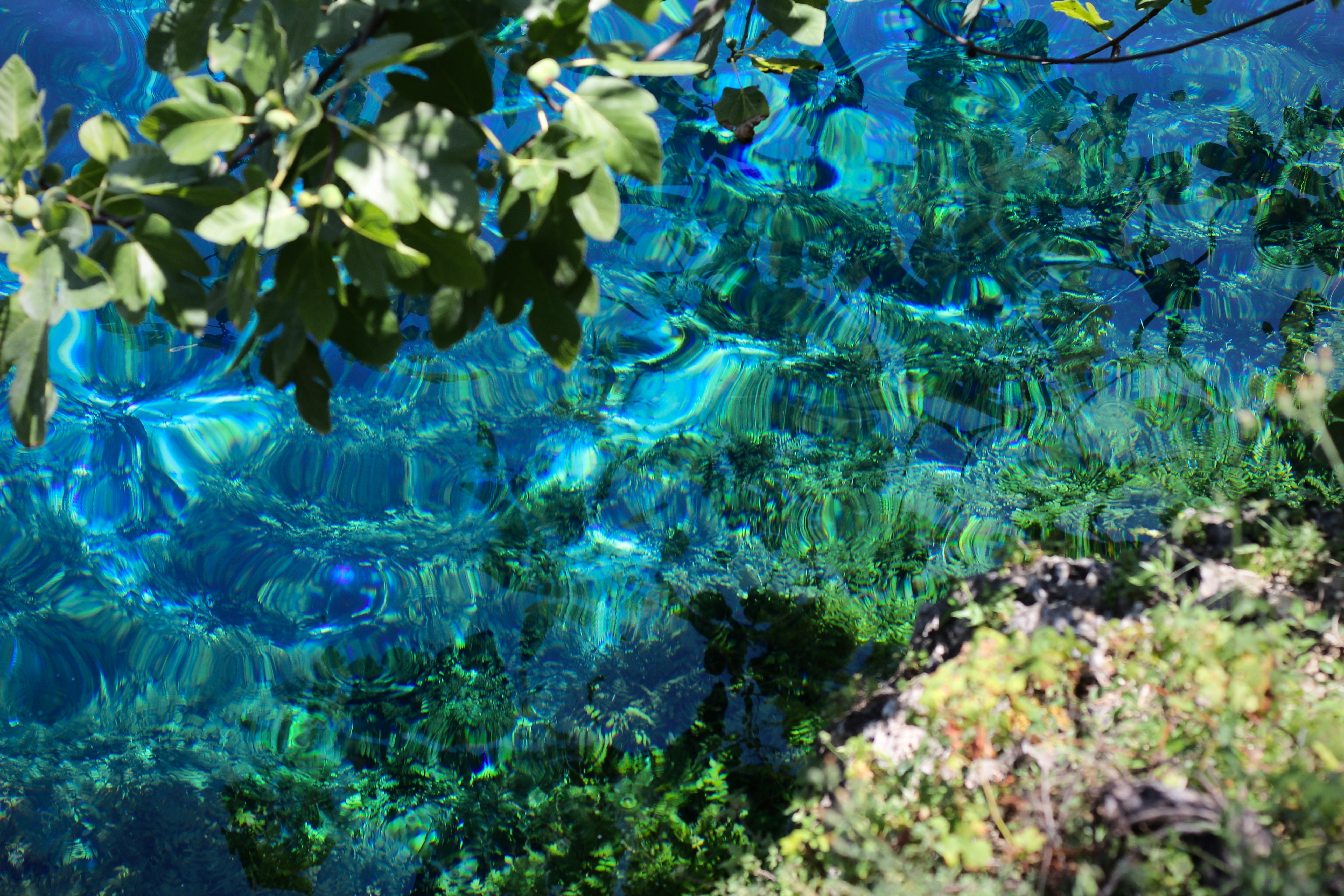 A stunning view of the Blue Eye spring, with its bright blue waters and surrounding greenery