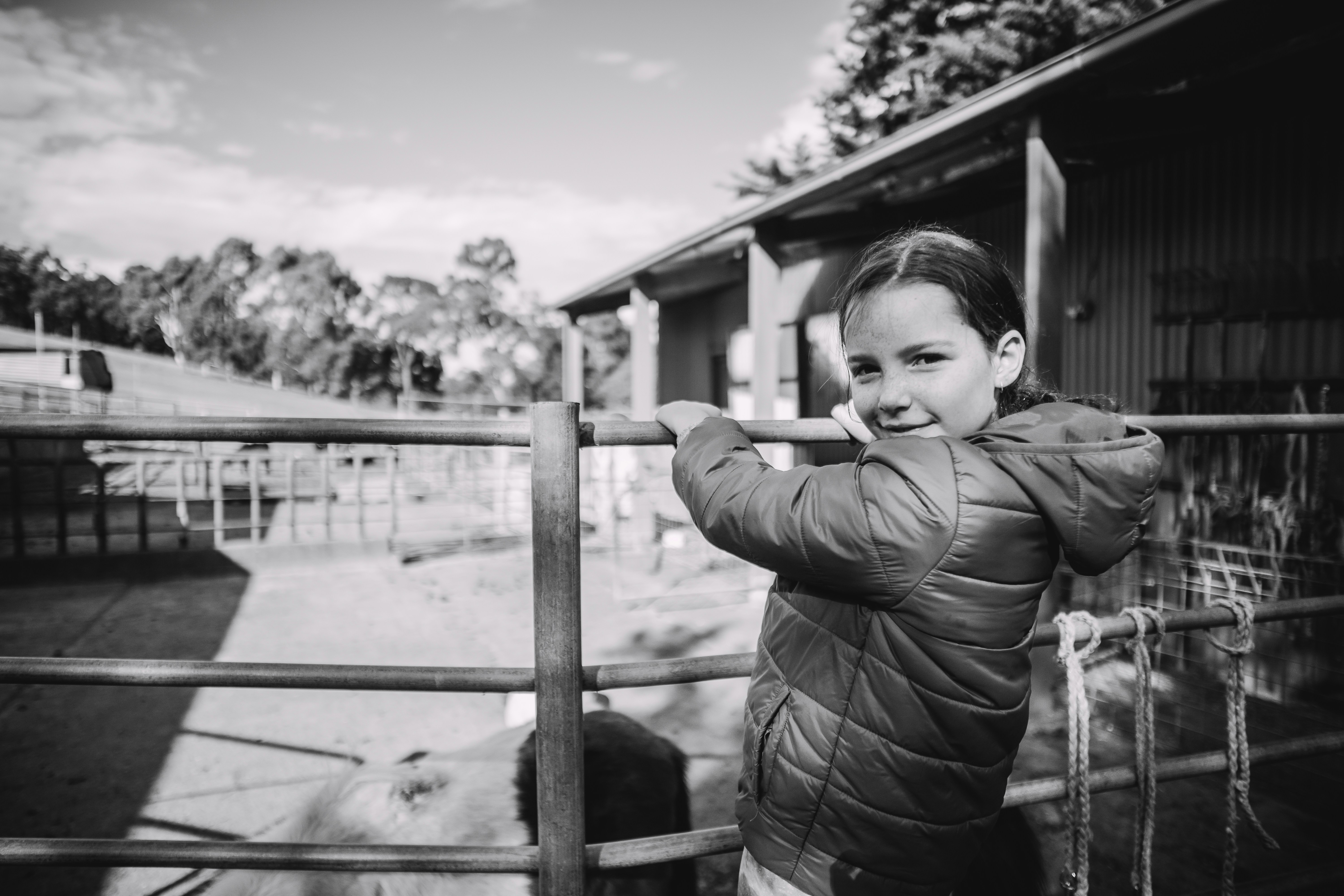 EXPOSICIÓN | "O derradeiro trazo de xiz" de Manuel Muñiz