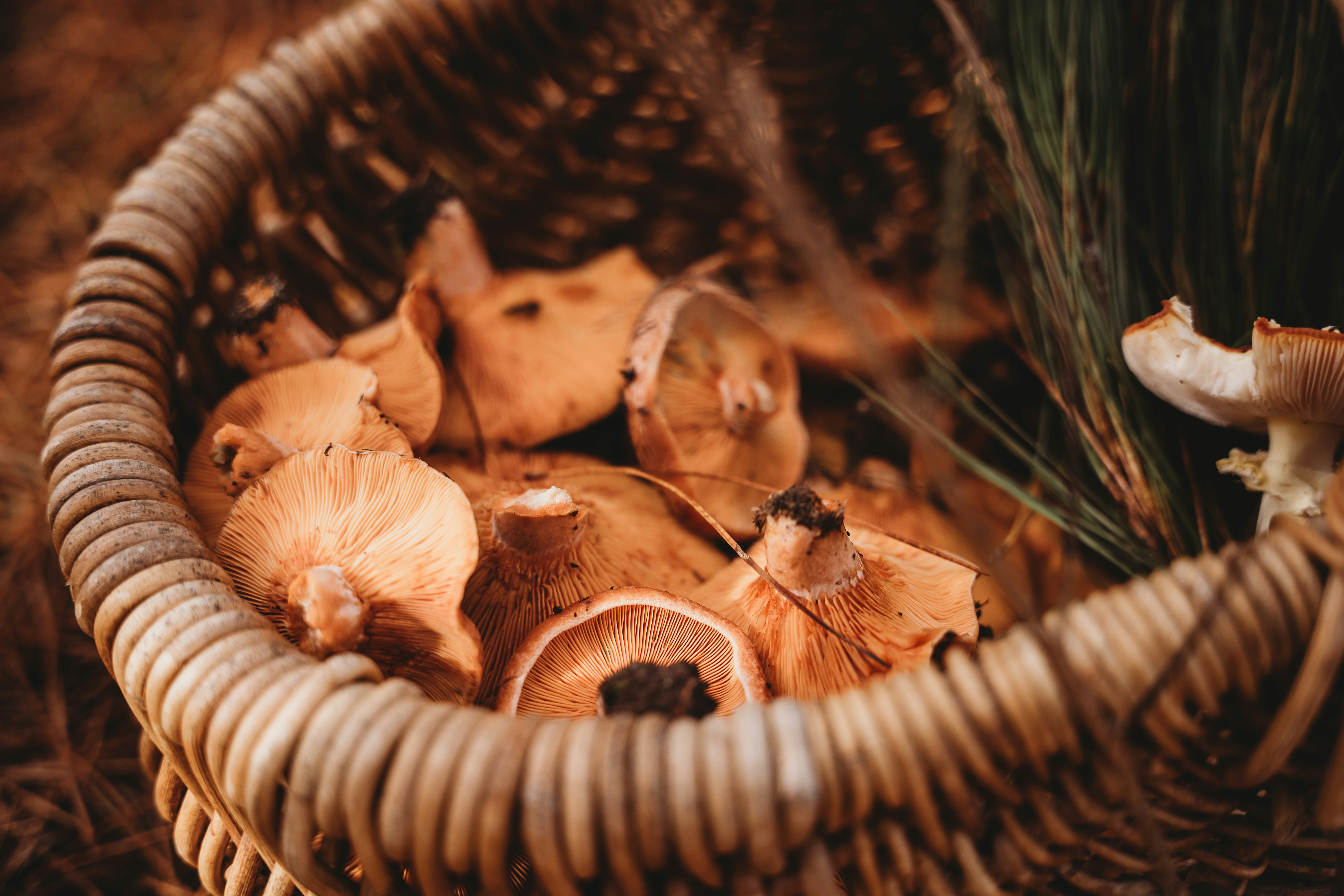 Photo by jessiemaxwellphotography