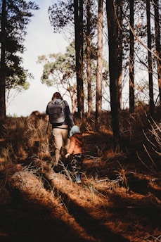 Auswandern nach Polen mit Kindern
