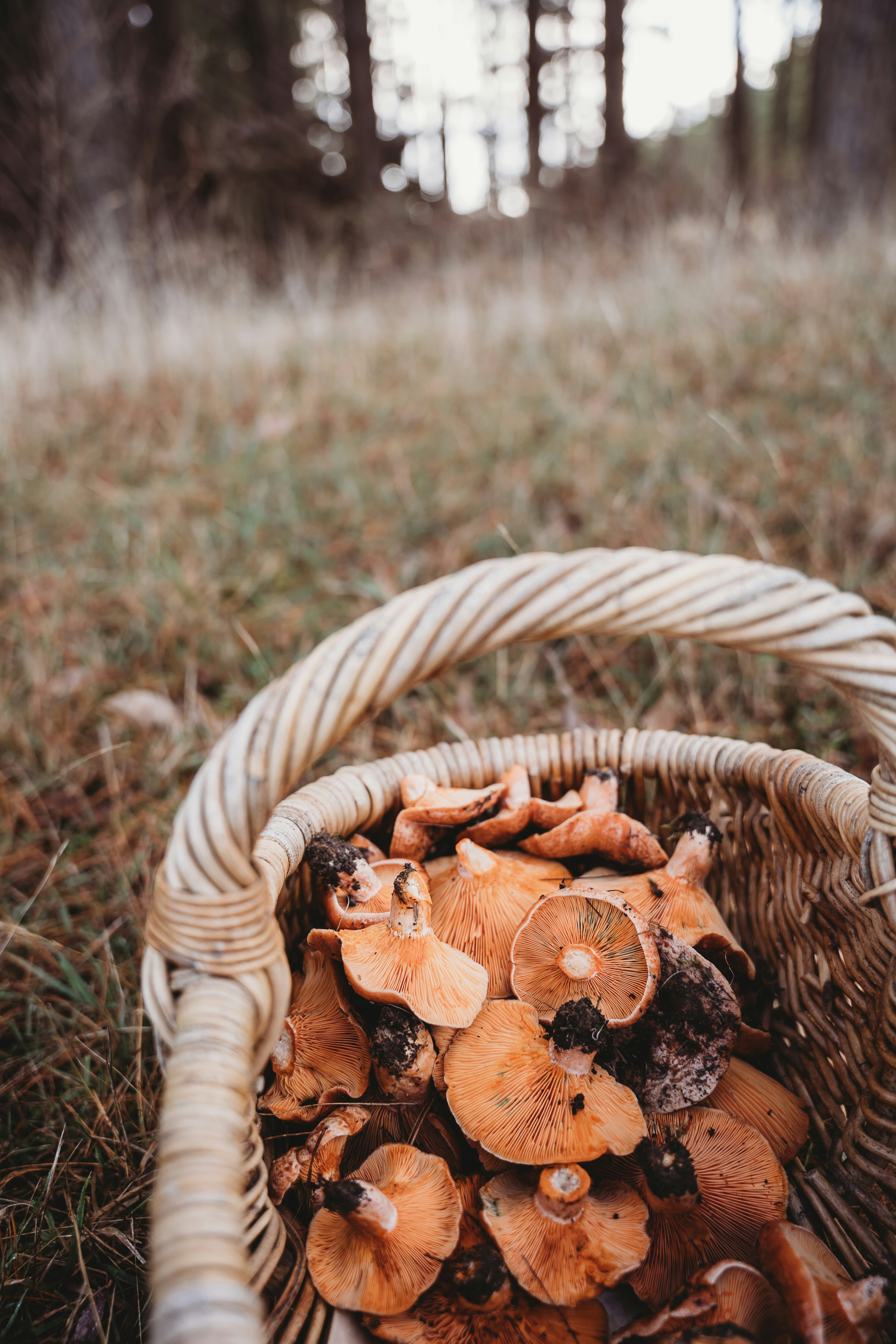 Photo by jessiemaxwellphotography