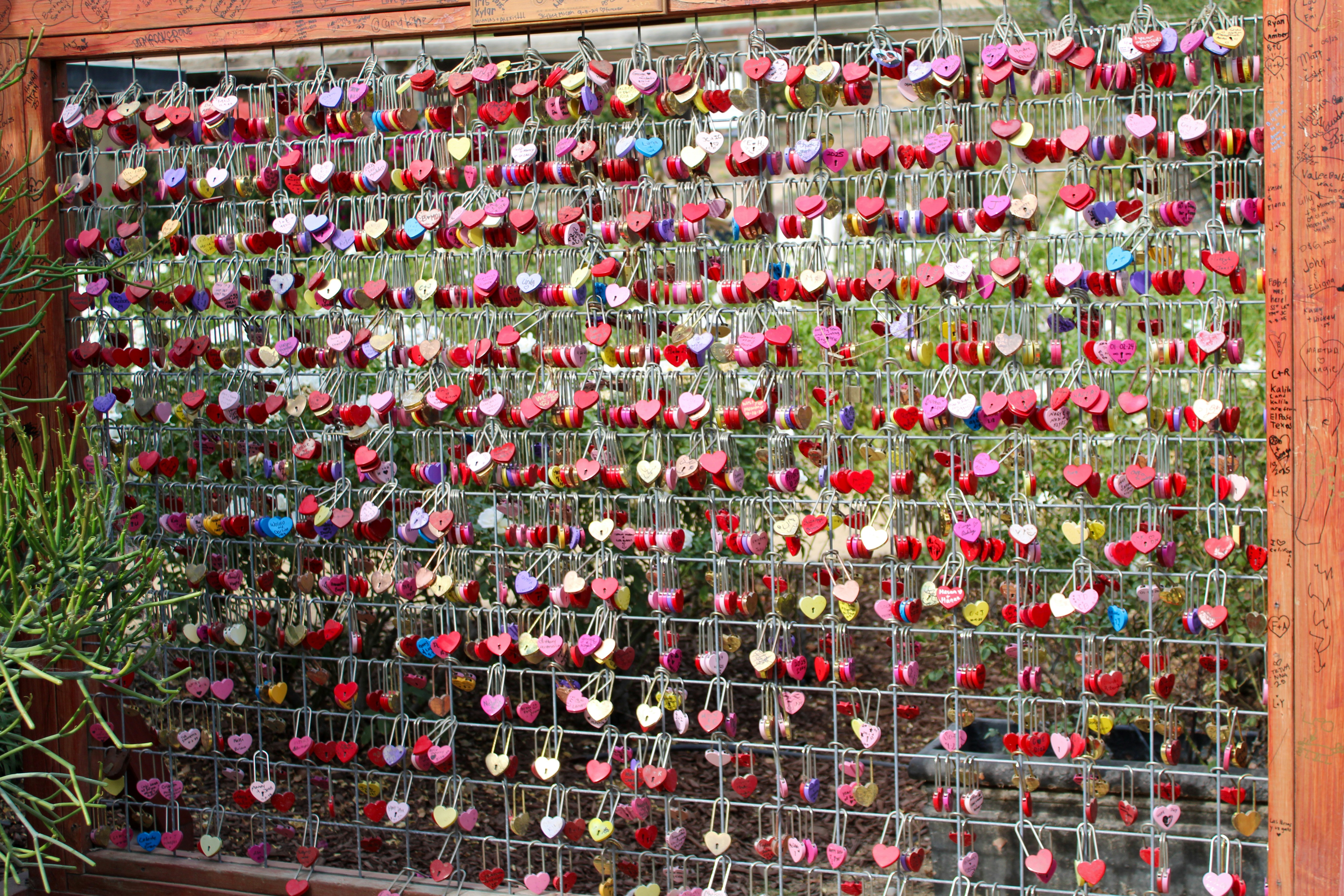 Wall of love locks hanging on a metal grate