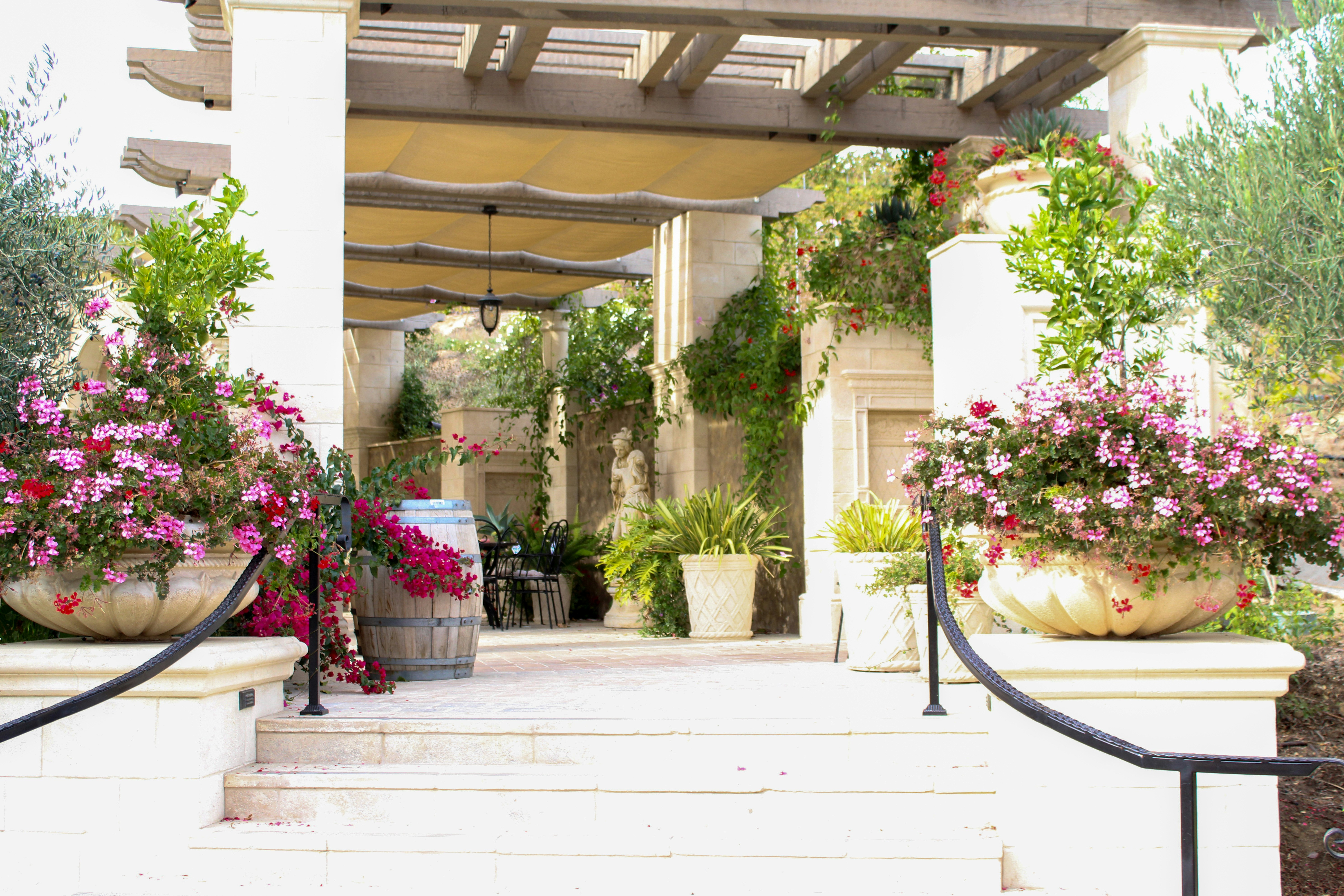 Elegant walkway with potted flowers and pergola