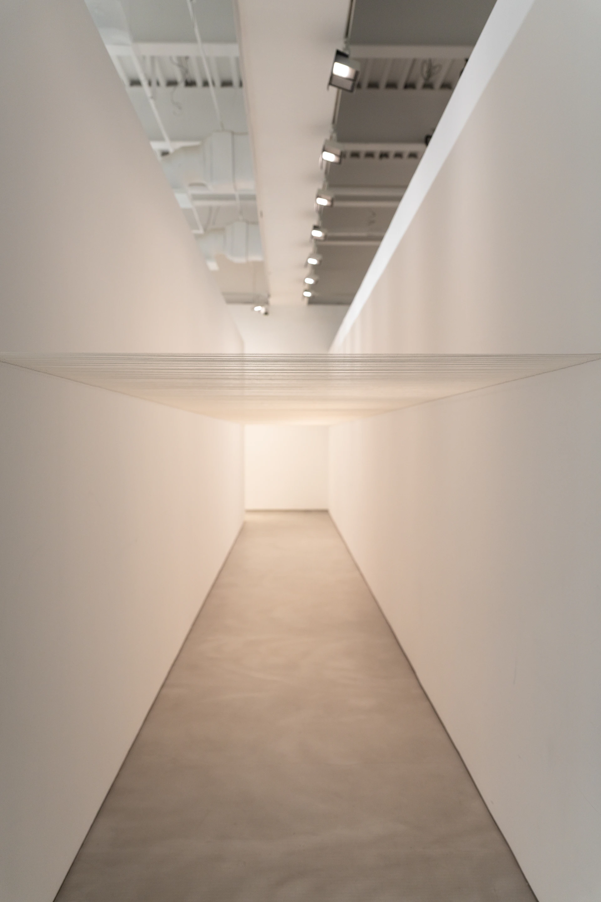 Gallery exhibition space