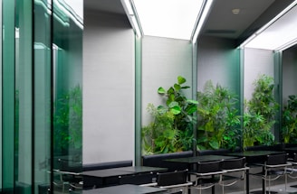 Modern office interior with plants and seating areas for tables.