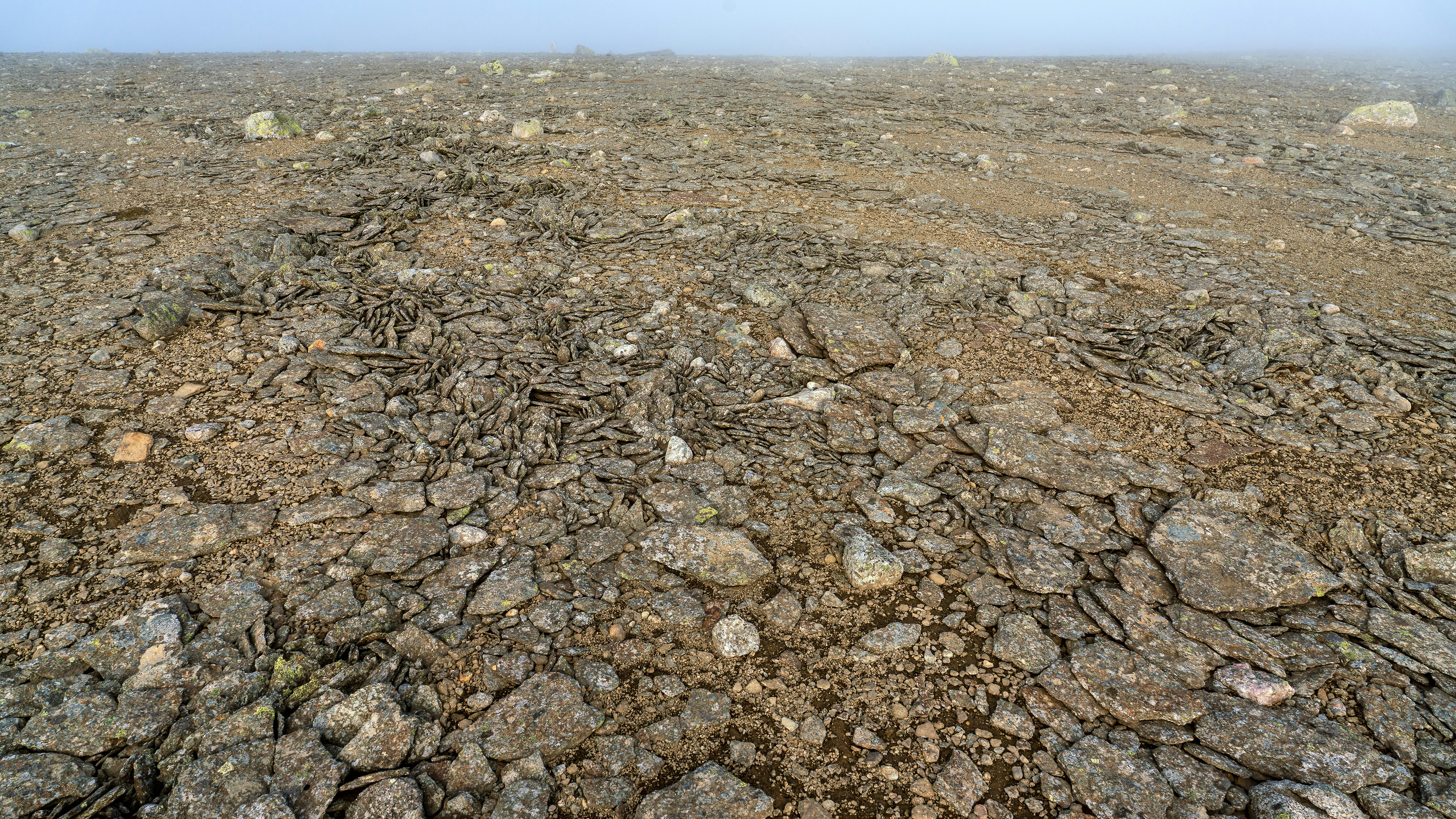 Cracked dry earth with scattered rocks under fog.