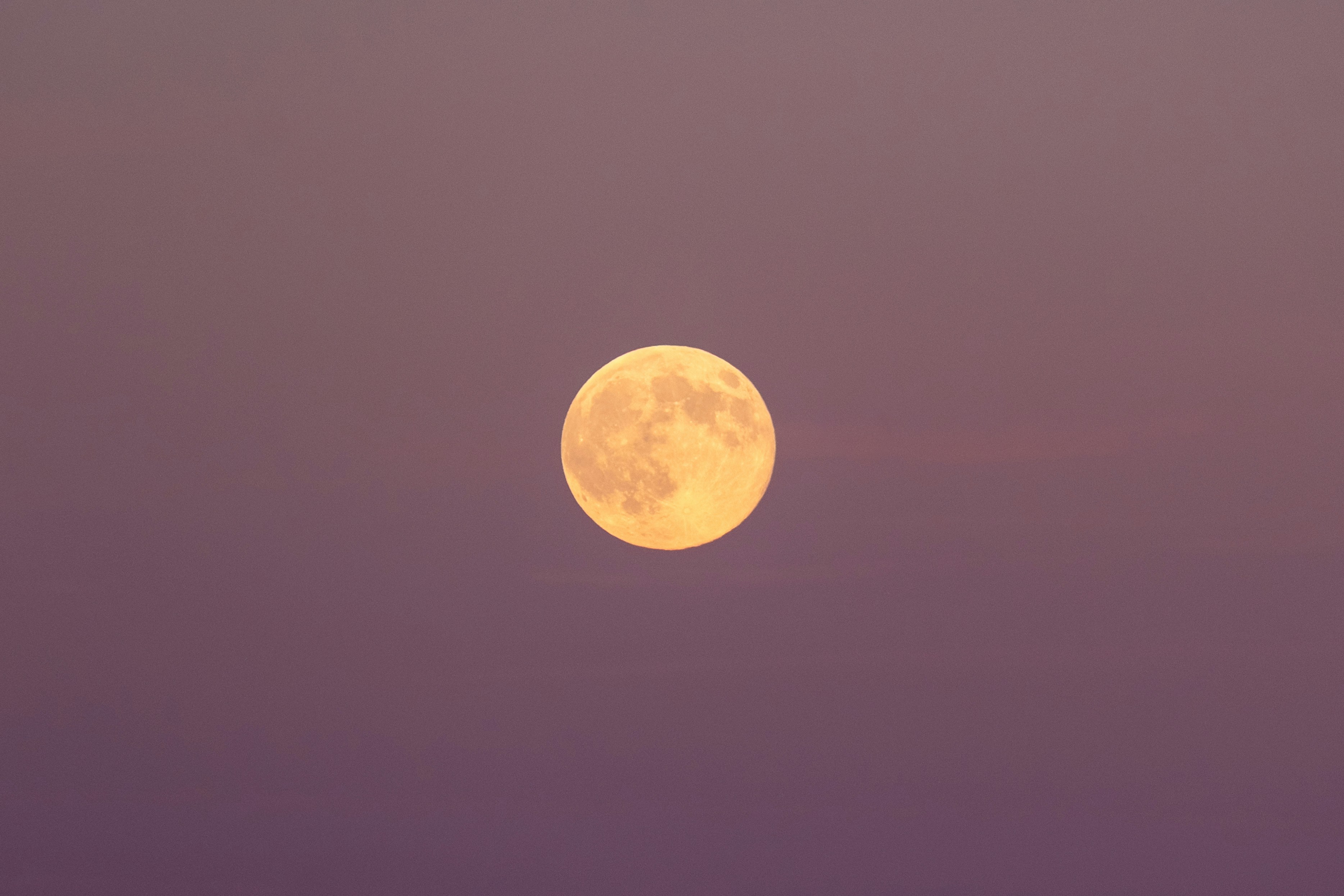 Photo by stefano_pinotti