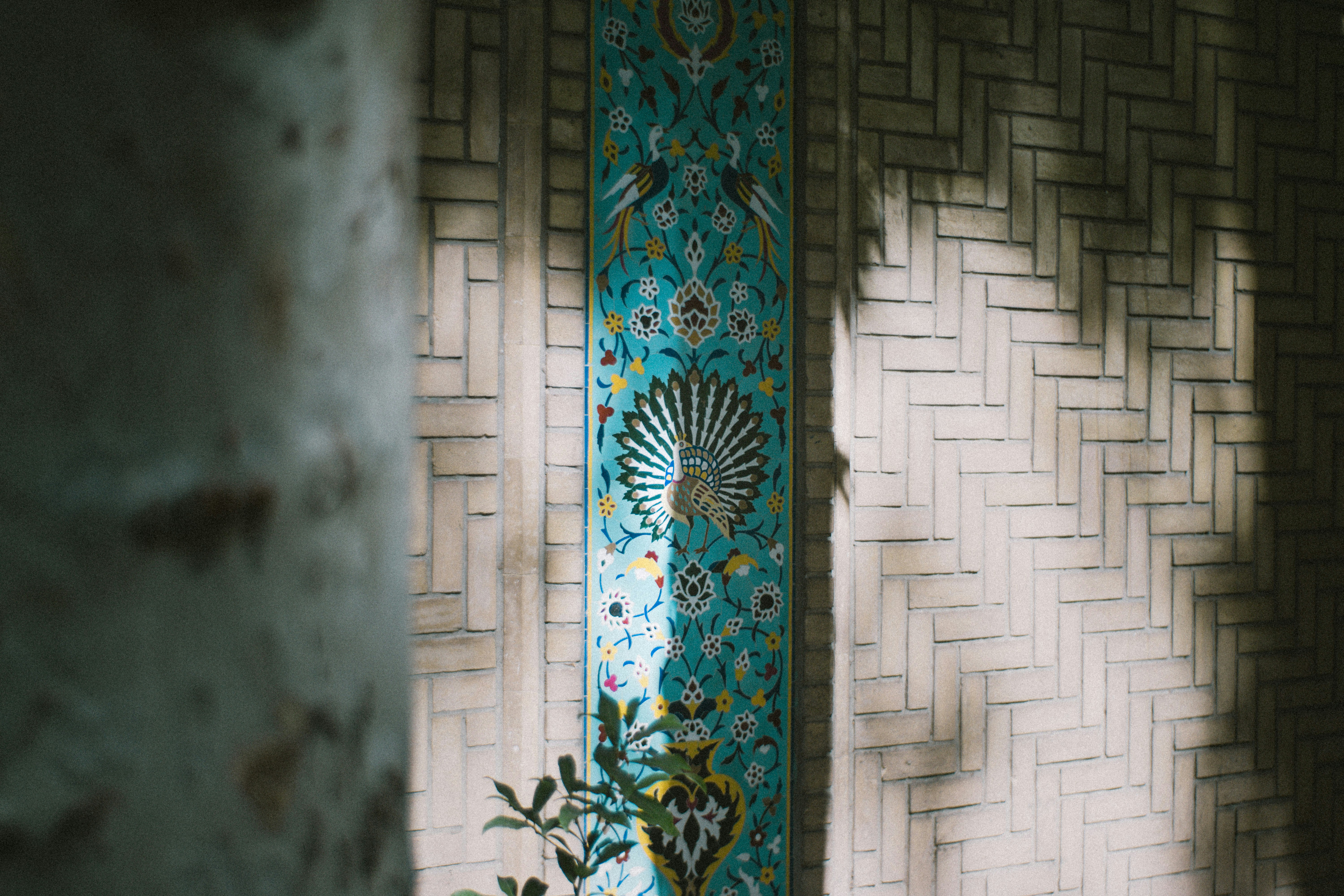 Photo by mdrezajalali