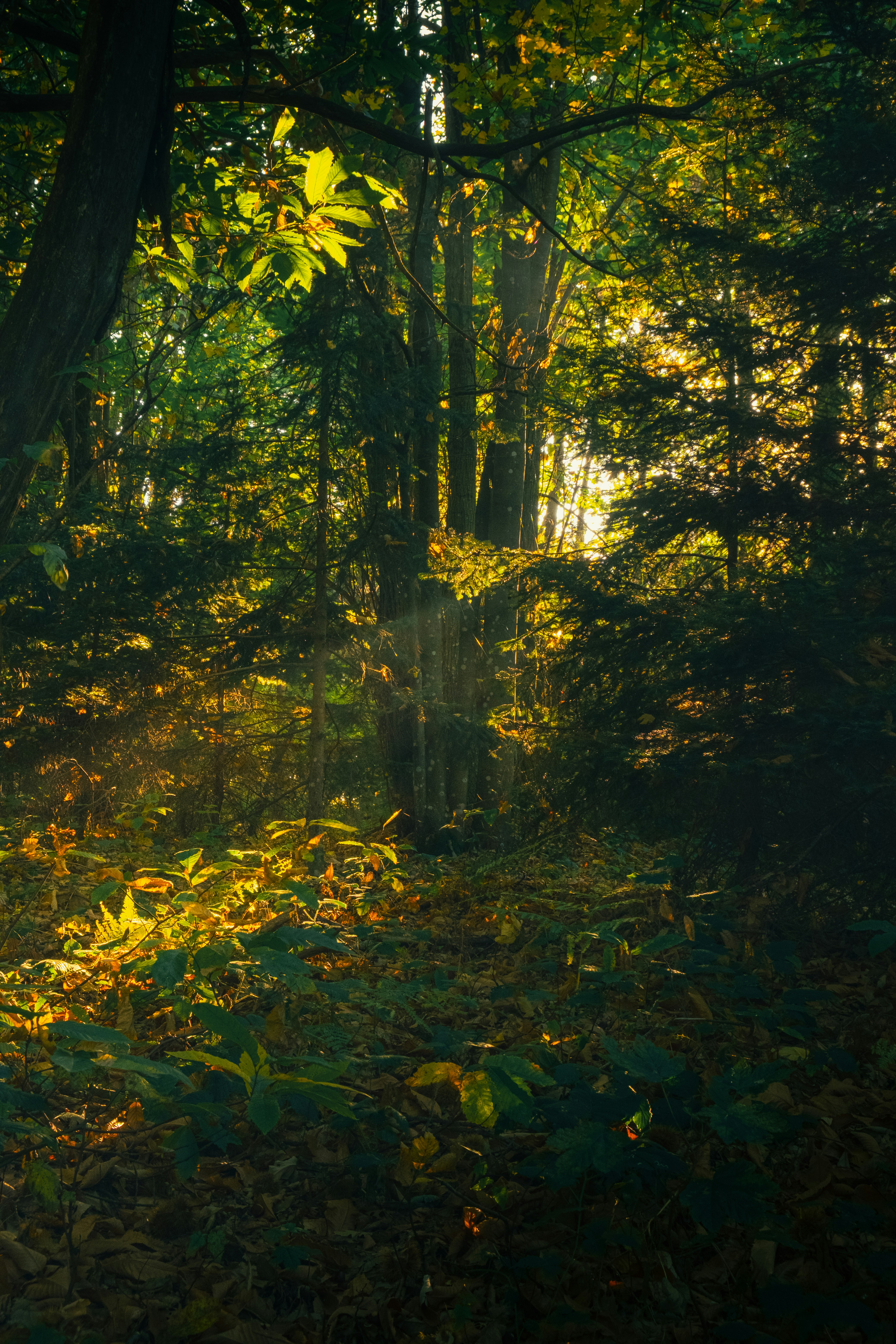 Photo by stefano_pinotti