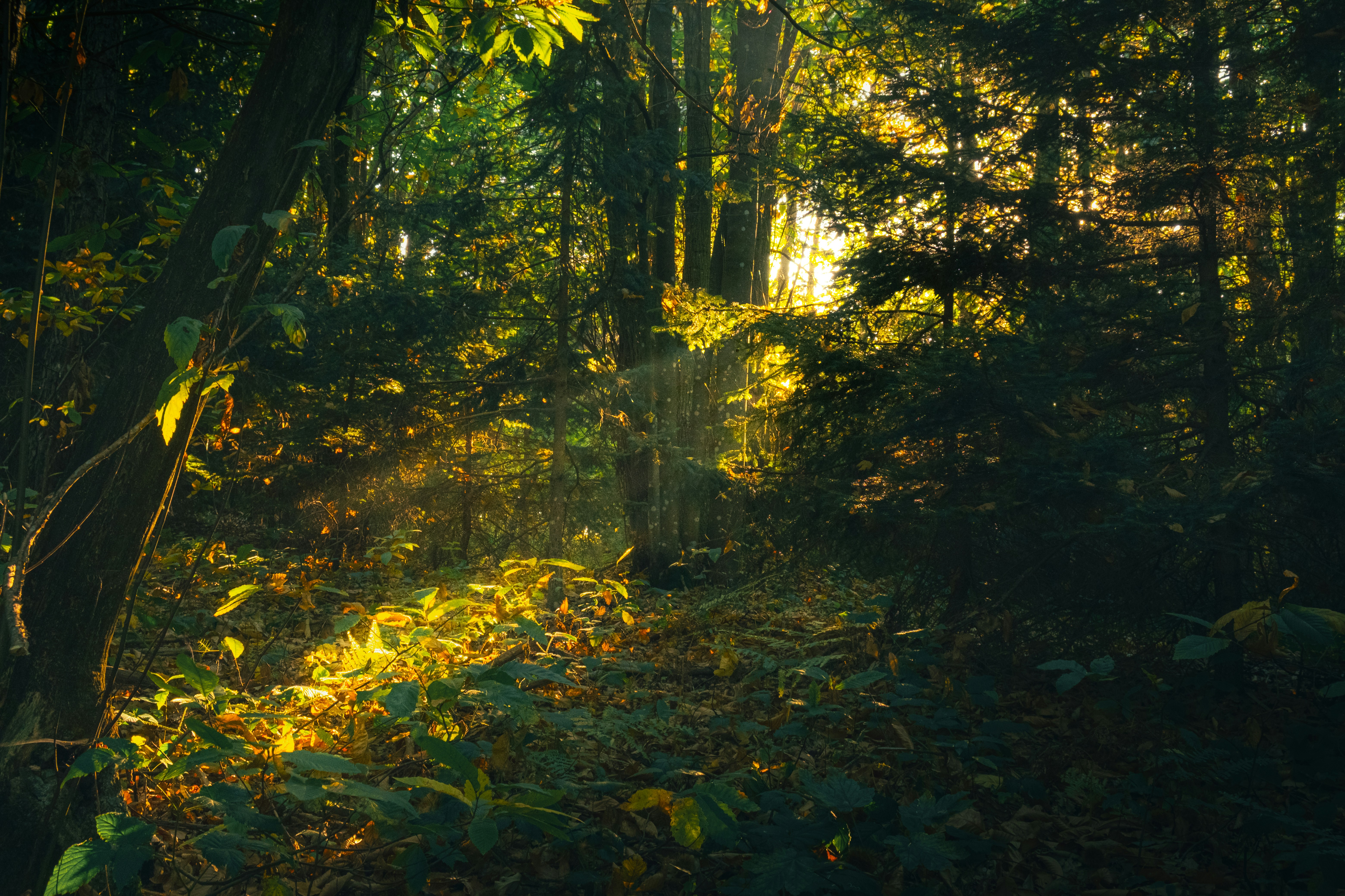 Photo by stefano_pinotti