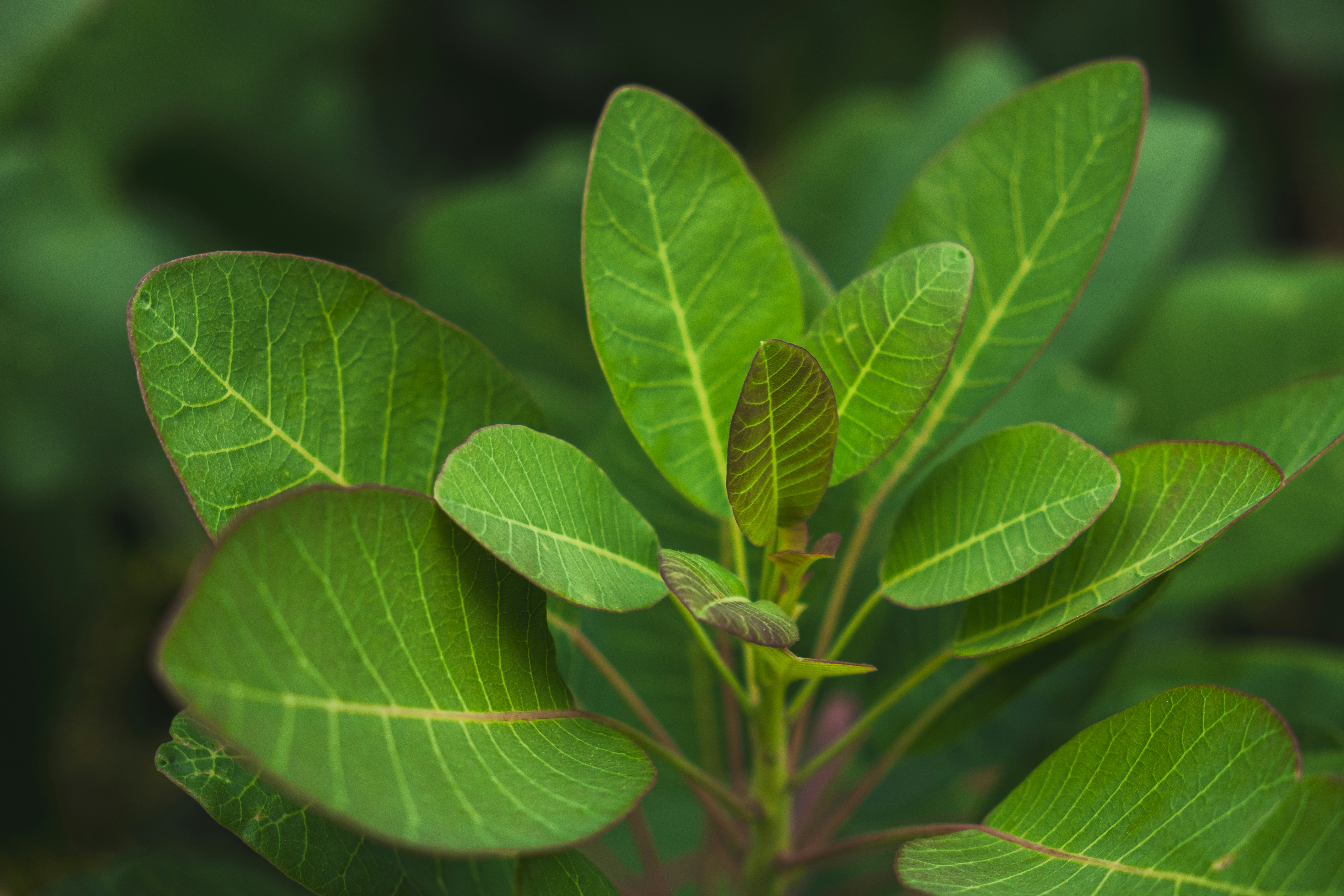 Photo by stefano_pinotti