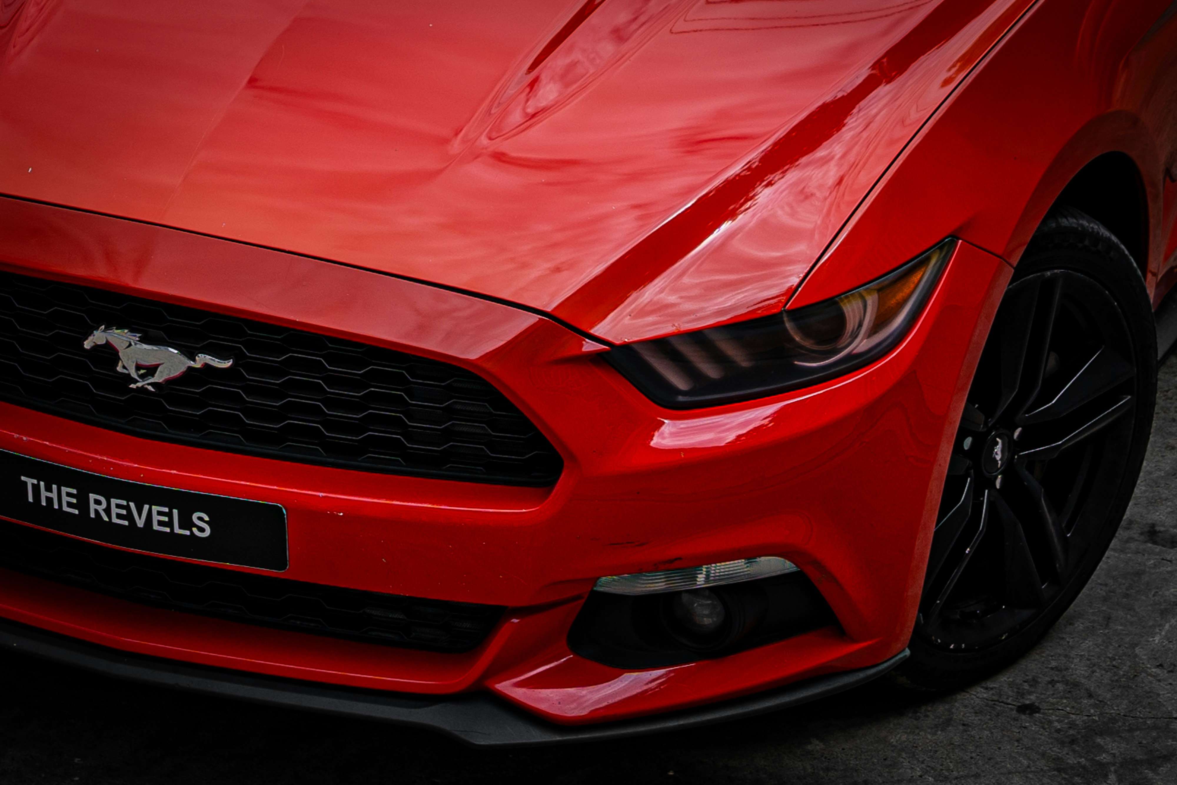 Photo by miguelphoto