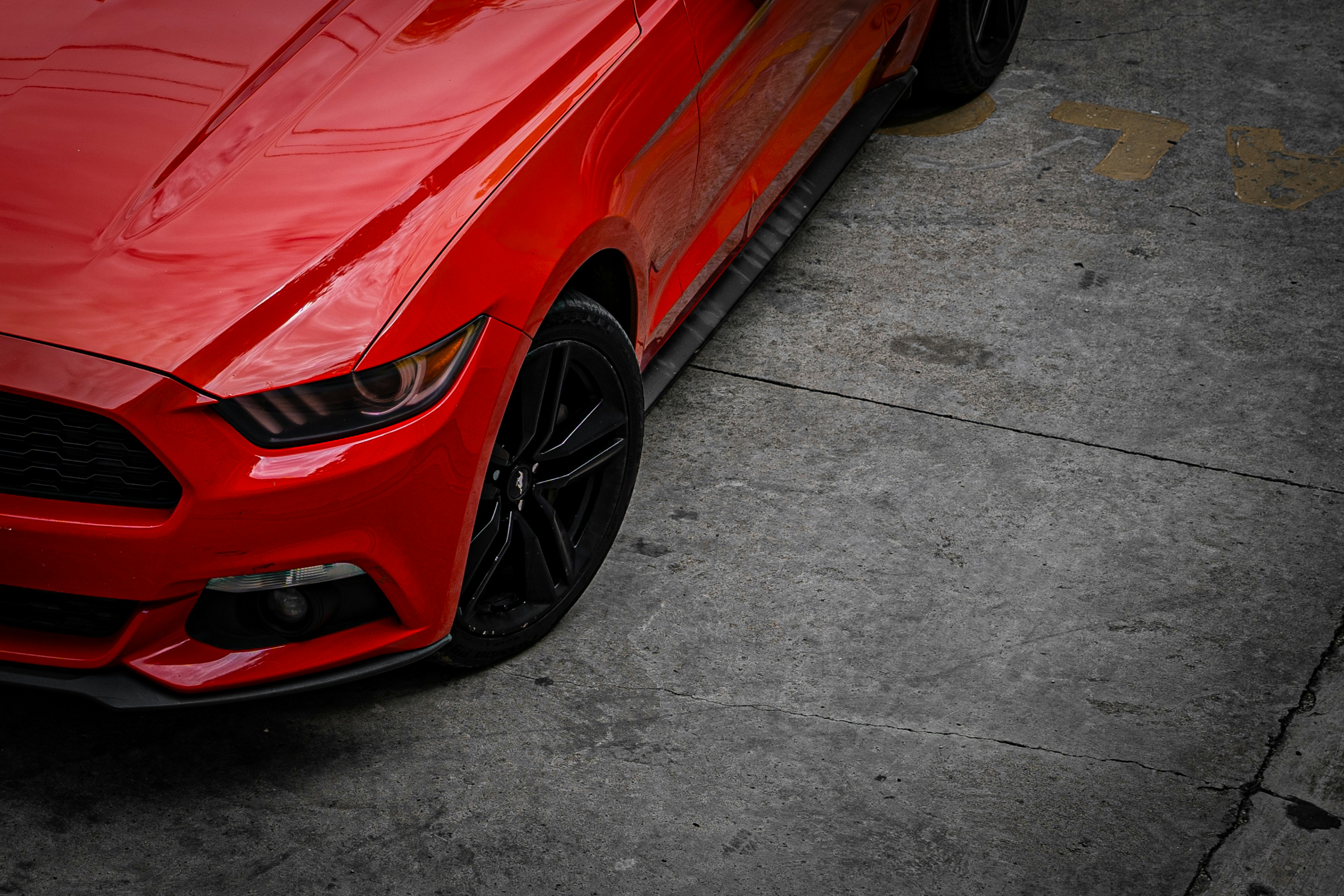 Photo by miguelphoto