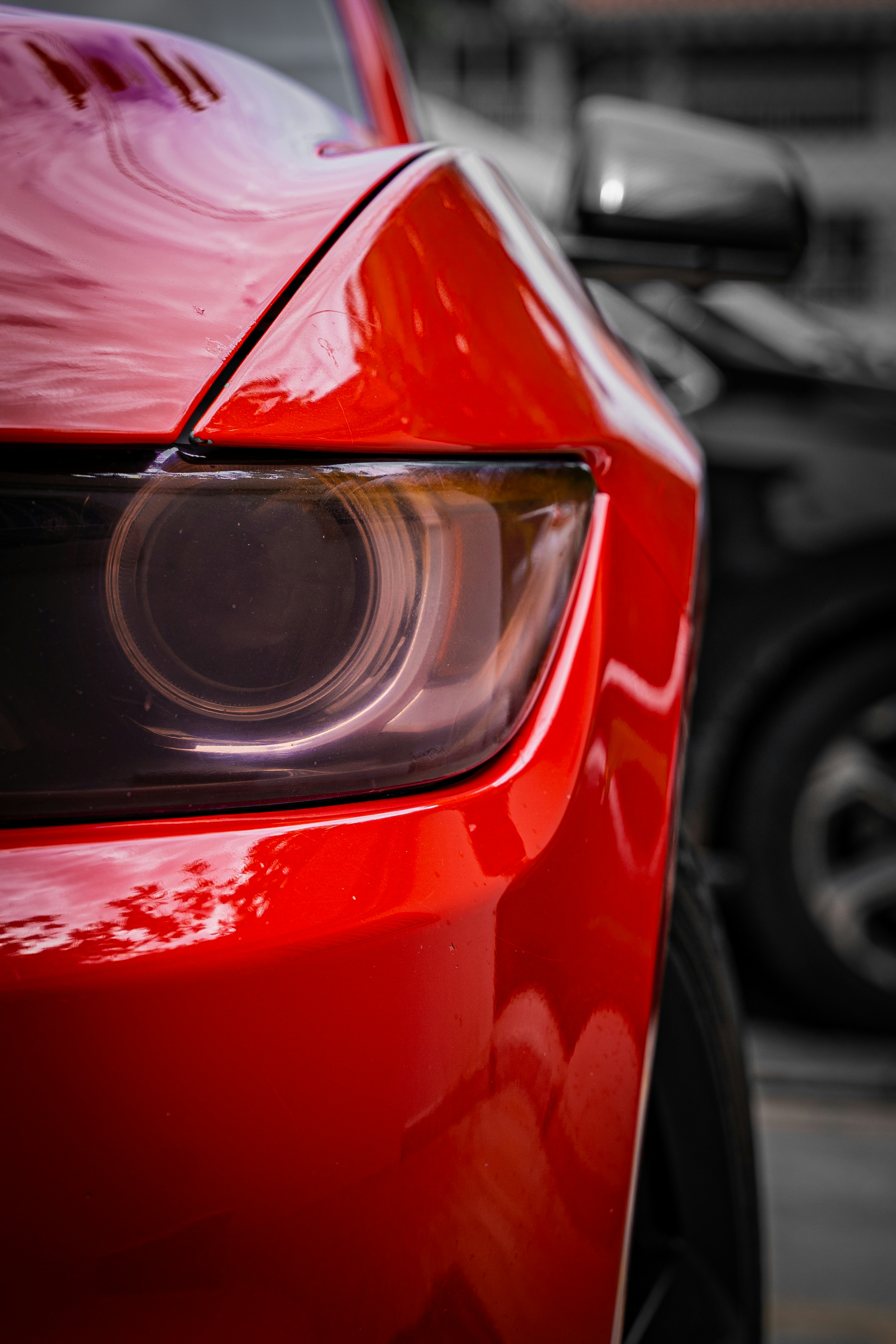 Photo by miguelphoto