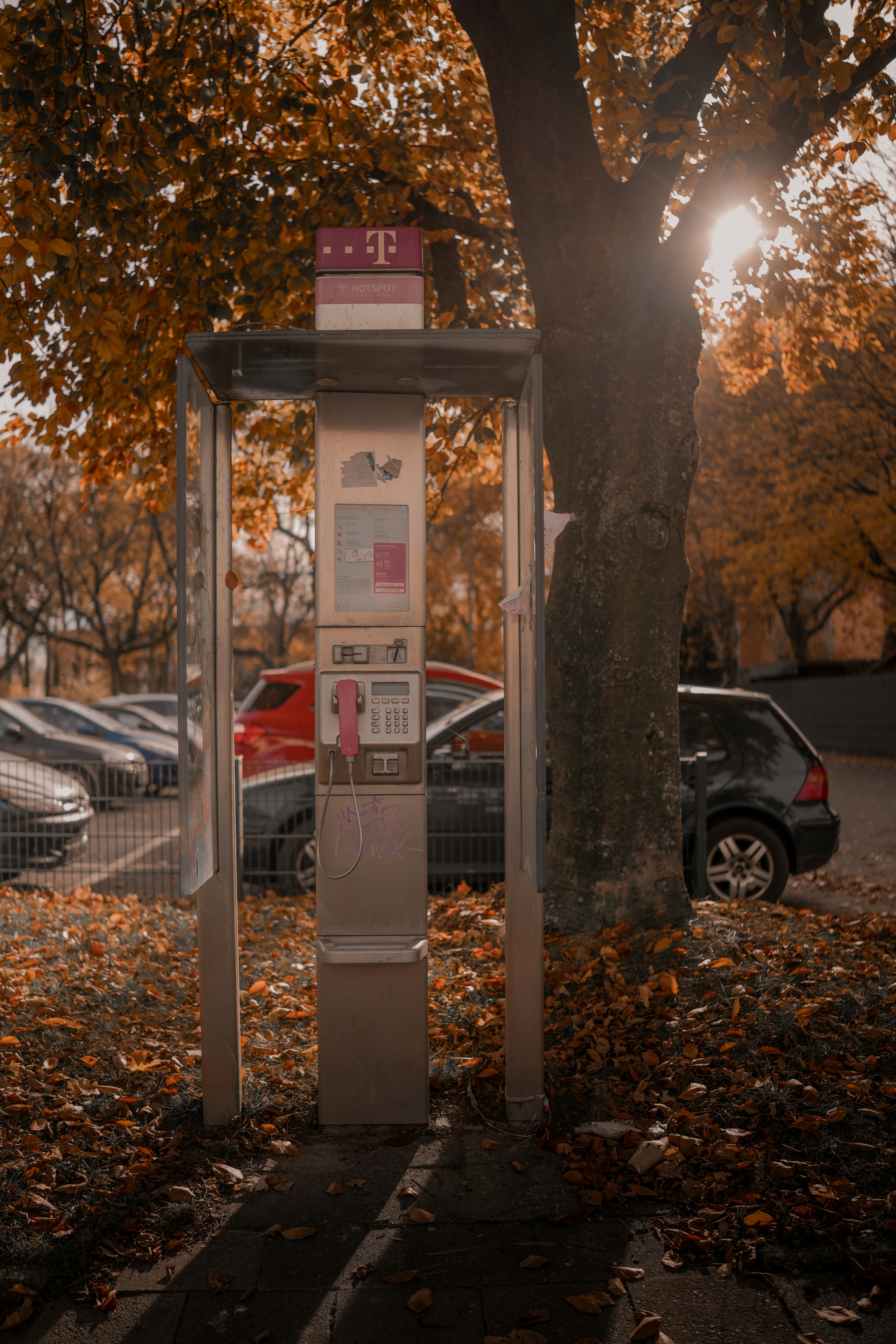 Payphone booth on a street with autumn leaves.