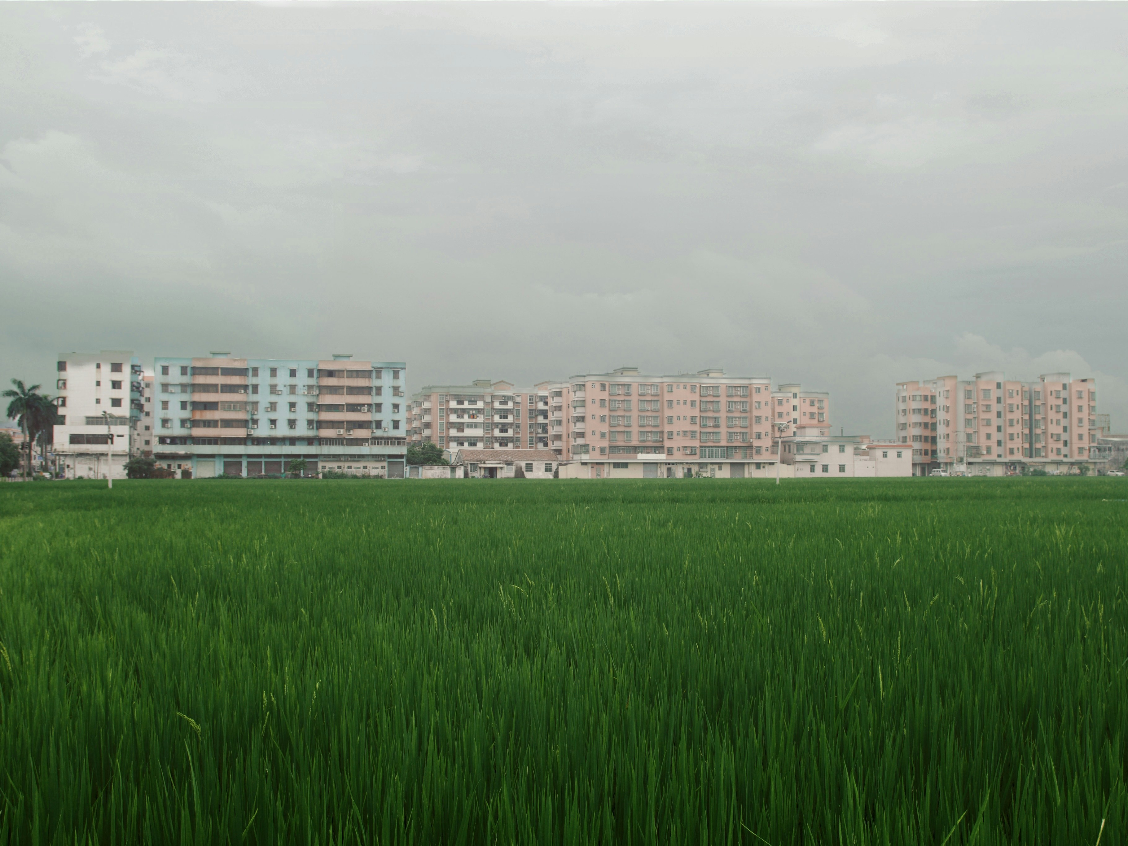 Green field in front of apartment buildings under cloudy sky