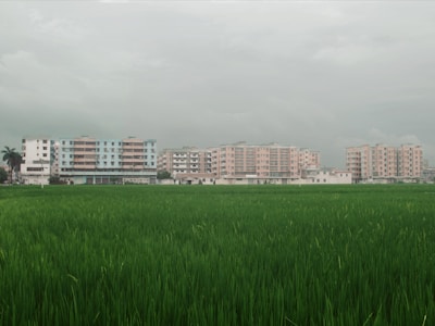 Green field in front of apartment buildings under cloudy sky