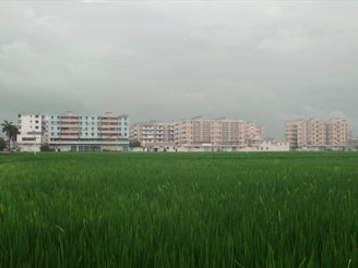 Green field in front of apartment buildings under cloudy sky