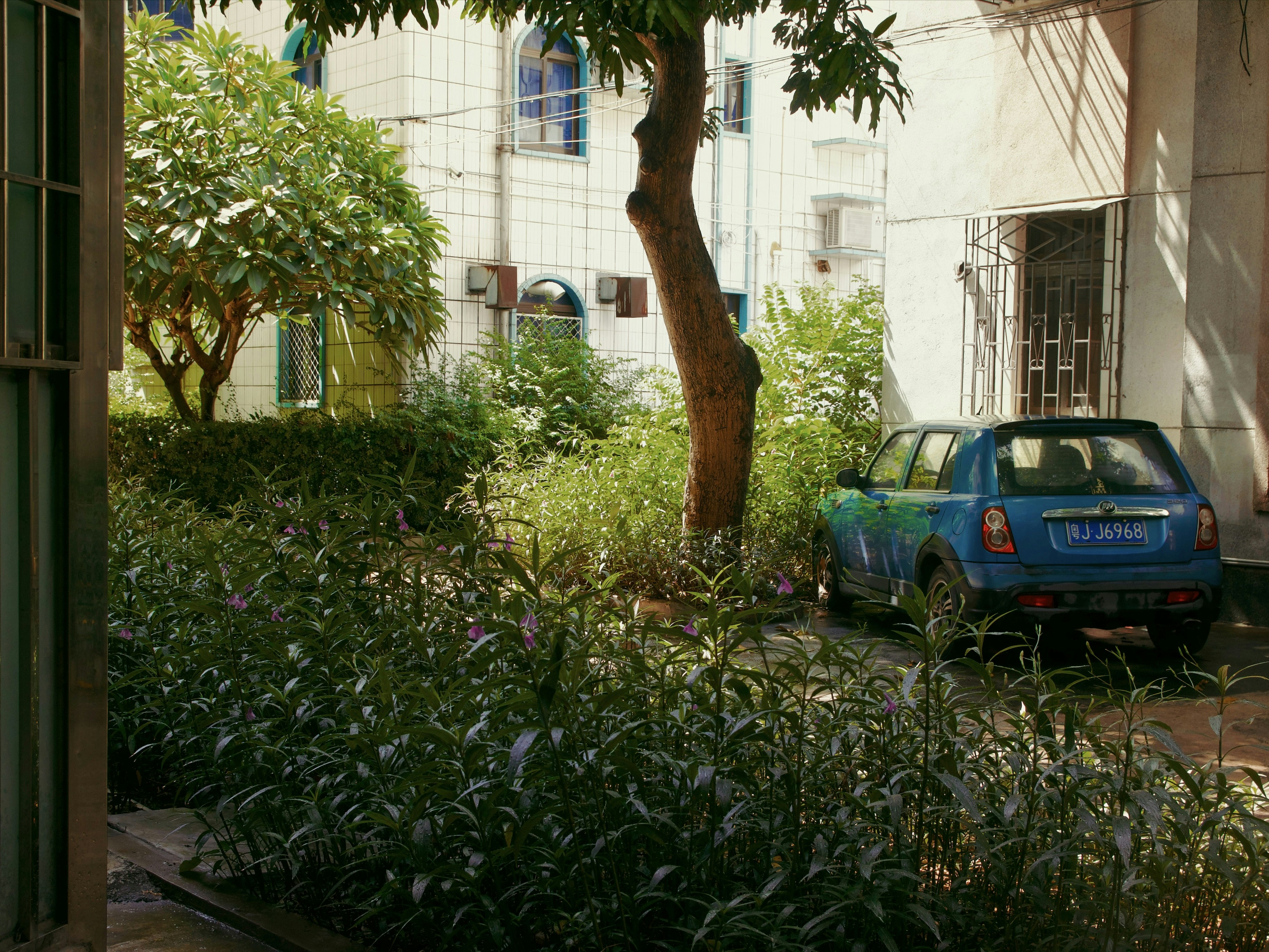 small car parked near greenery and buildings