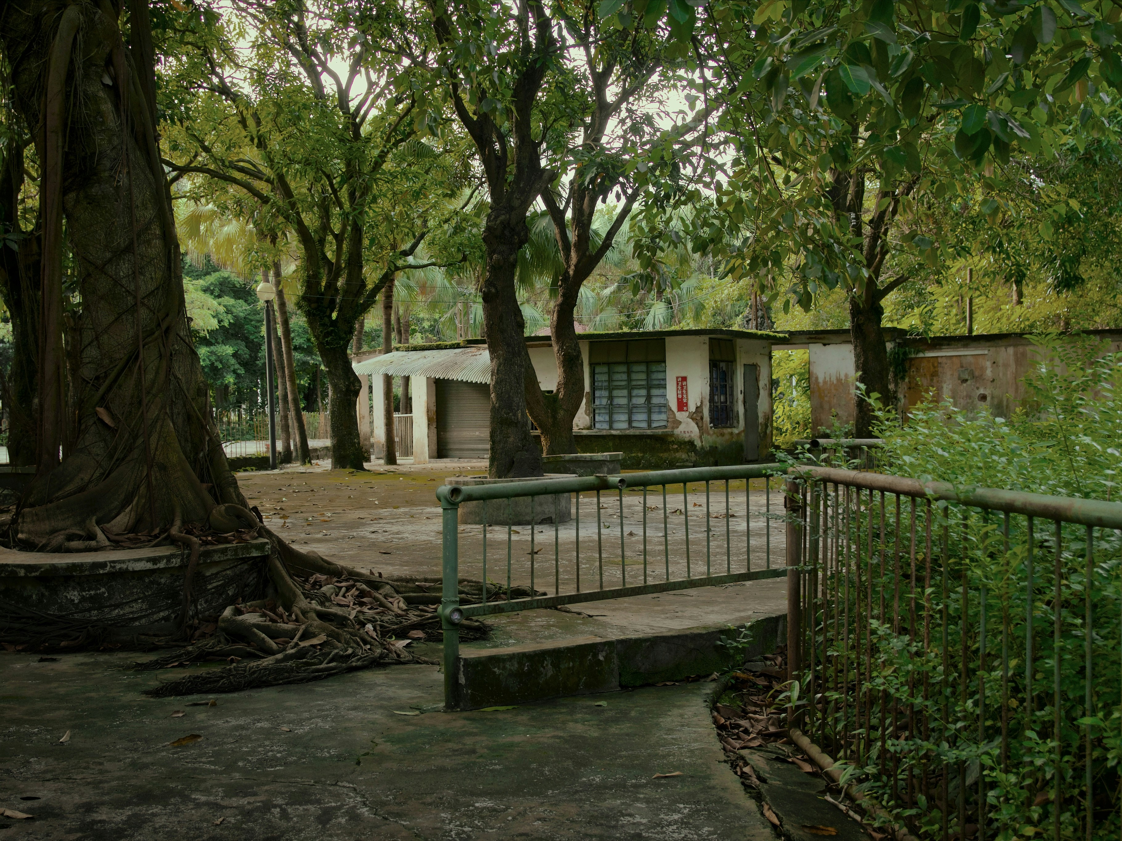 Photo by yiquanzhang