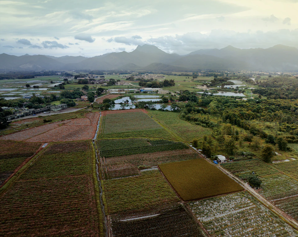 Agricultural fields with mountains beyond