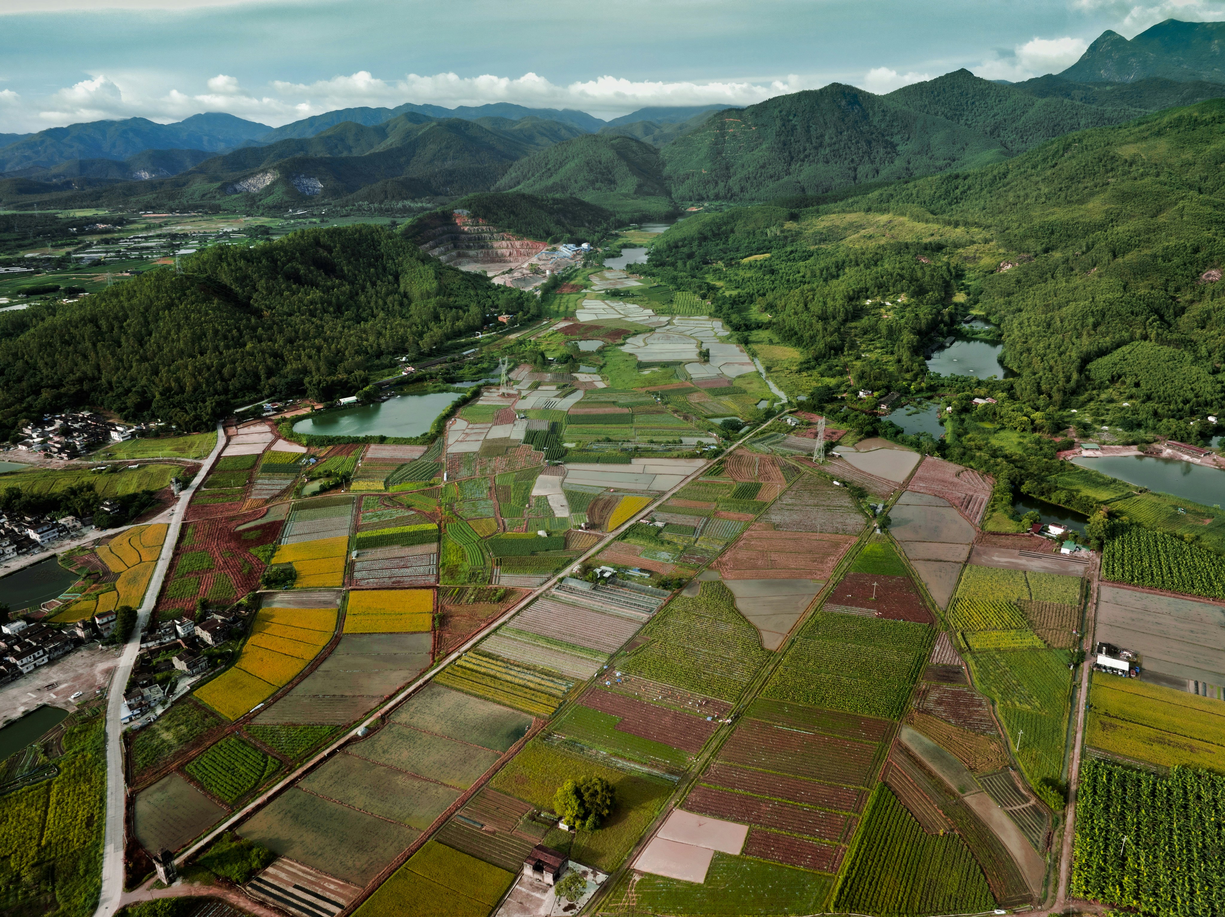 Aerial farm fields