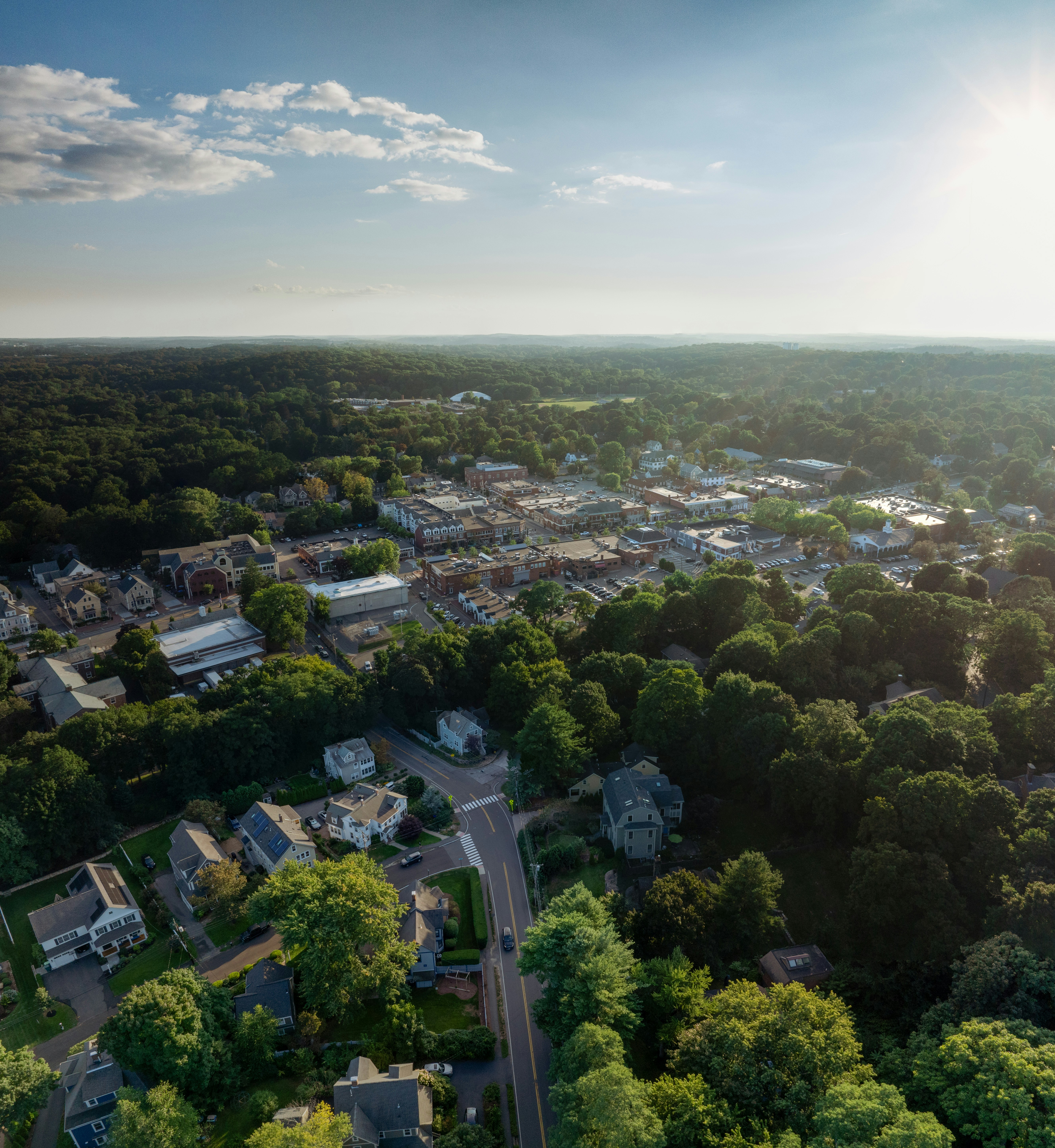 Aerial view of a suburban town nestled among trees.
